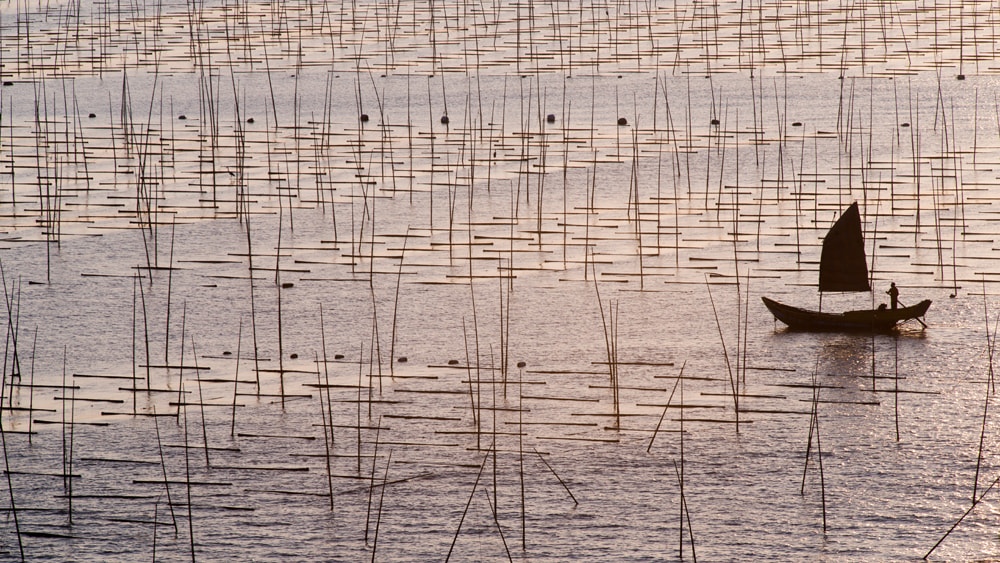 AF-S Zoom-Nikkor 80-200mm f/2.8D IF-ED sample photo. Sunrise photography