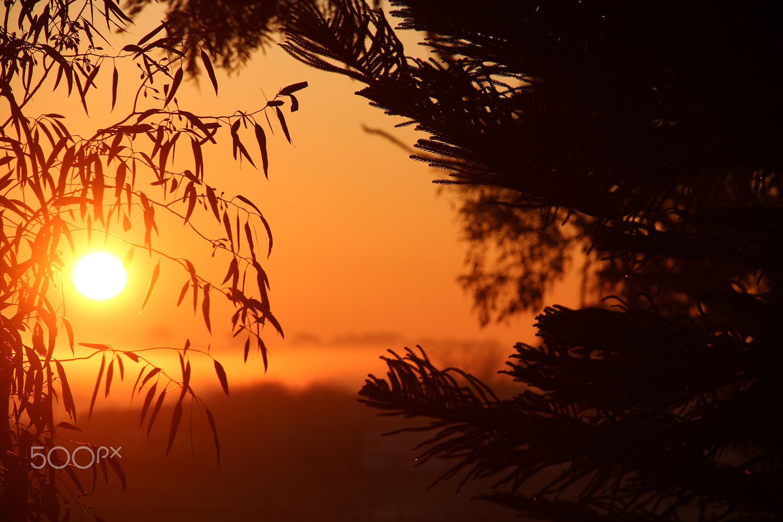 Canon EOS 600D (Rebel EOS T3i / EOS Kiss X5) sample photo. Sunrise glory photography