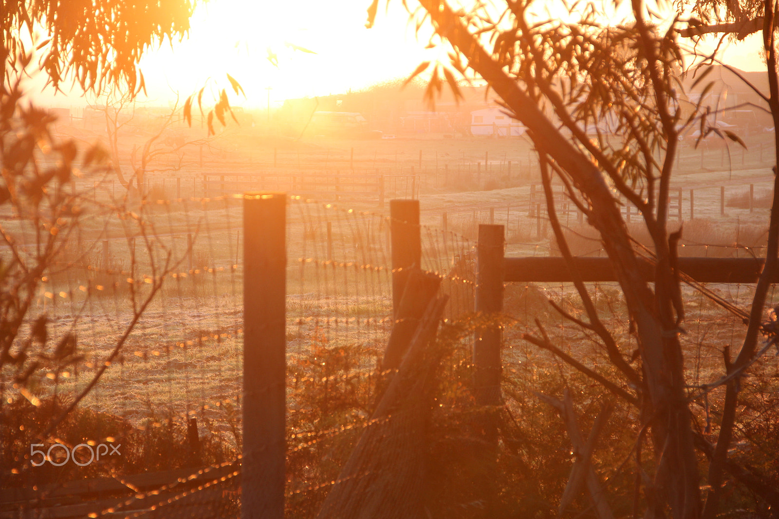 Canon EOS 600D (Rebel EOS T3i / EOS Kiss X5) sample photo. Crimson on the other side photography