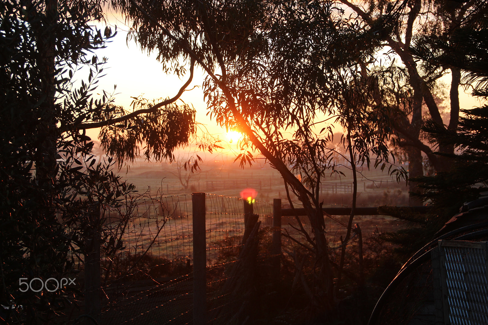 Canon EOS 600D (Rebel EOS T3i / EOS Kiss X5) sample photo. The sun still shines photography