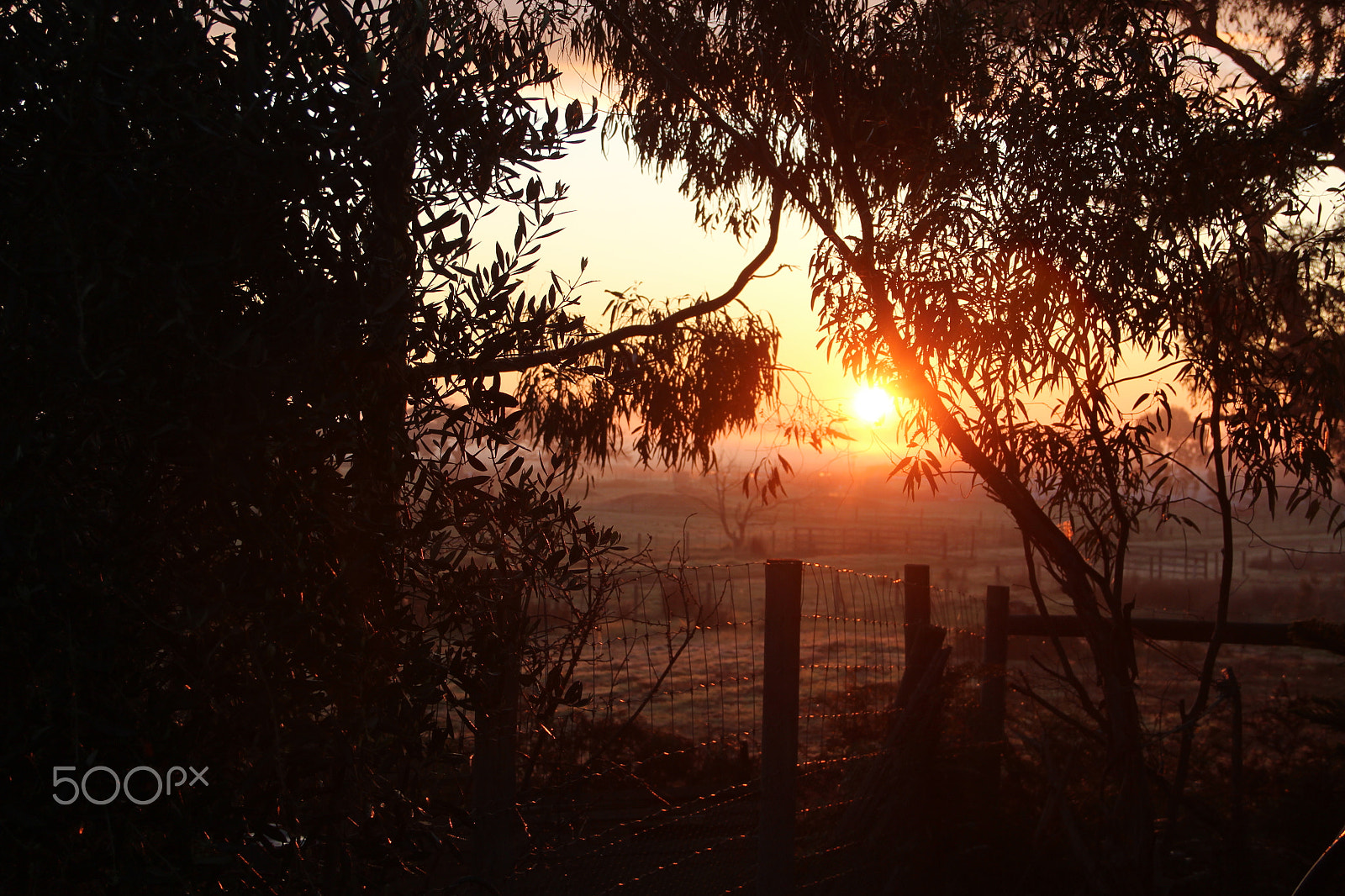 Canon EOS 600D (Rebel EOS T3i / EOS Kiss X5) sample photo. The sun still shines 2 photography