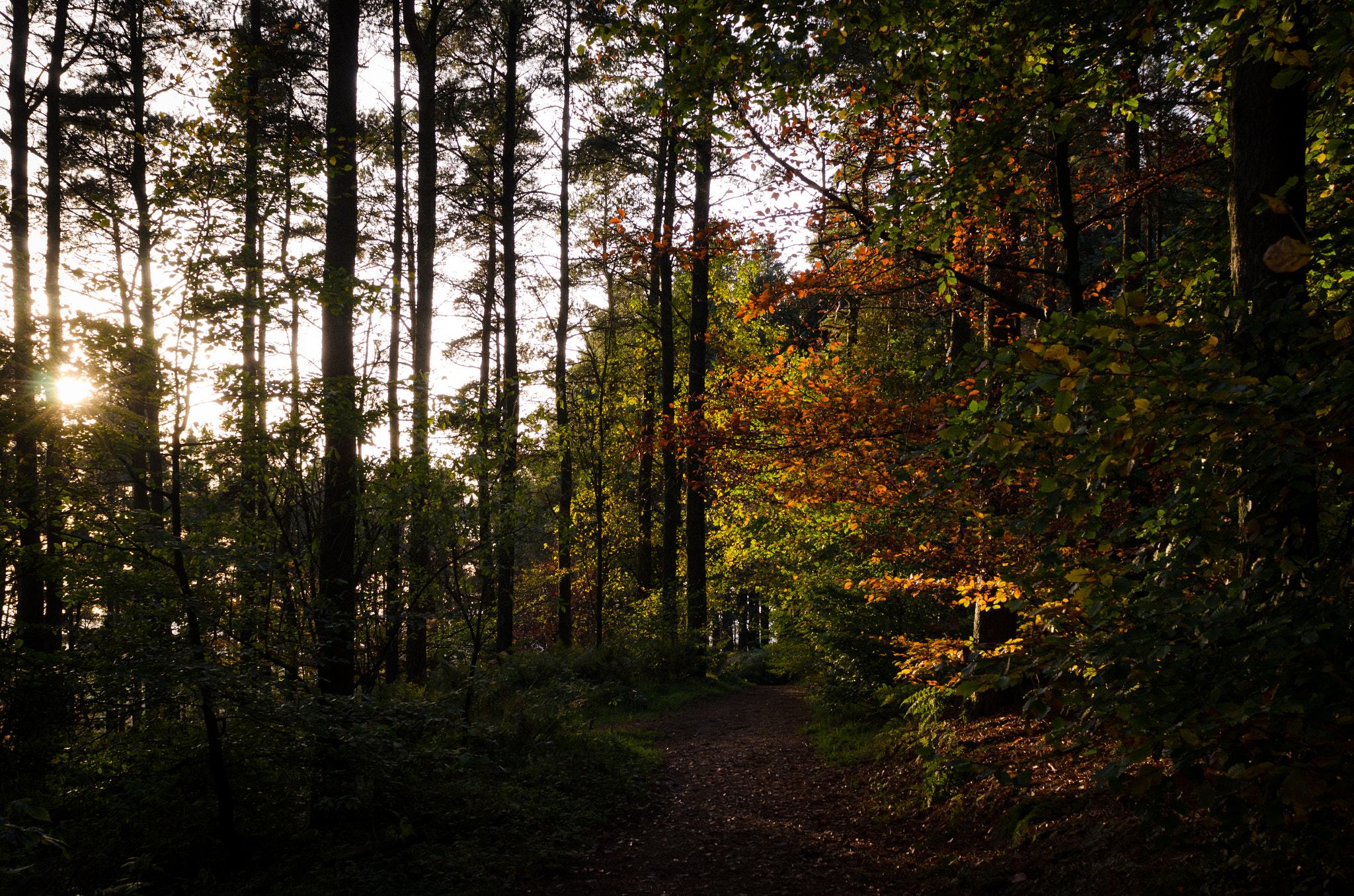 Nikon D7000 + Sigma 24-70mm F2.8 EX DG Macro sample photo. Beacon fell photography