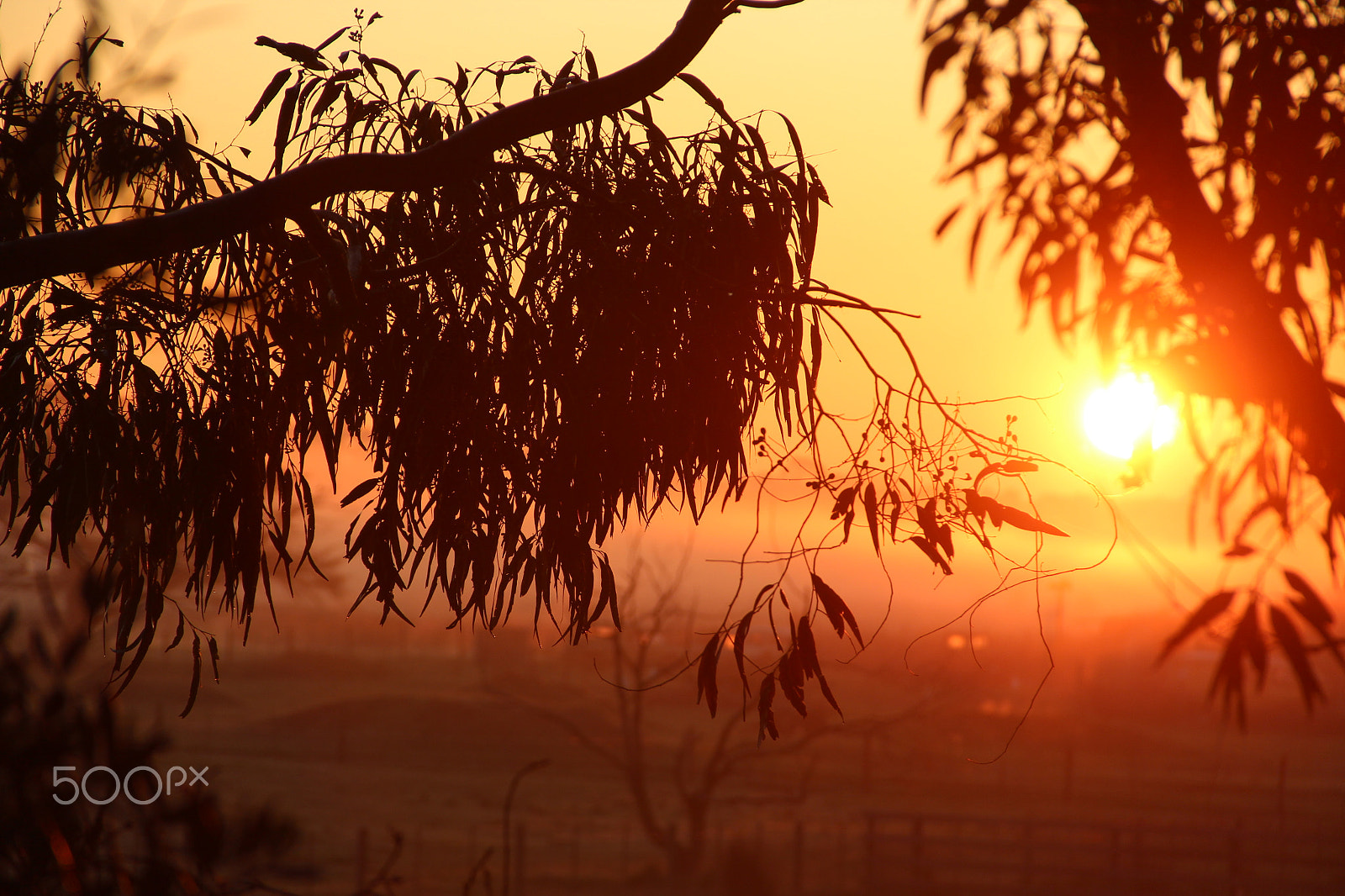 Canon EOS 600D (Rebel EOS T3i / EOS Kiss X5) sample photo. Crimson sunrise photography