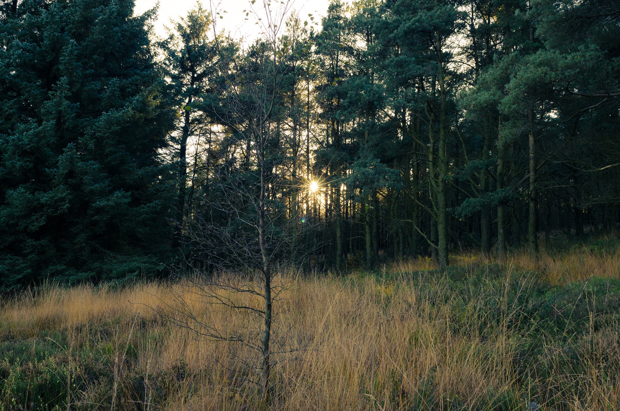 Nikon D7000 + Sigma 24-70mm F2.8 EX DG Macro sample photo. Beacon fell photography