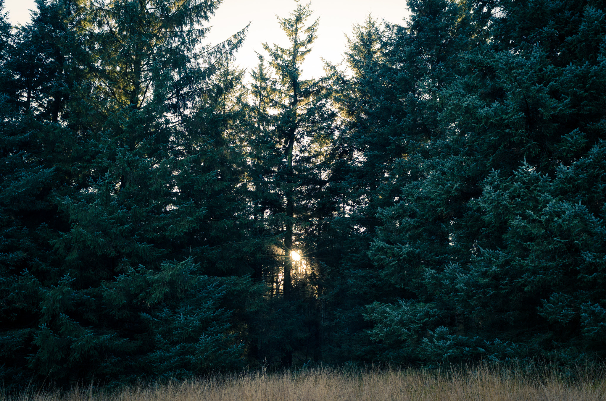 Nikon D7000 + Sigma 24-70mm F2.8 EX DG Macro sample photo. Beacon fell photography