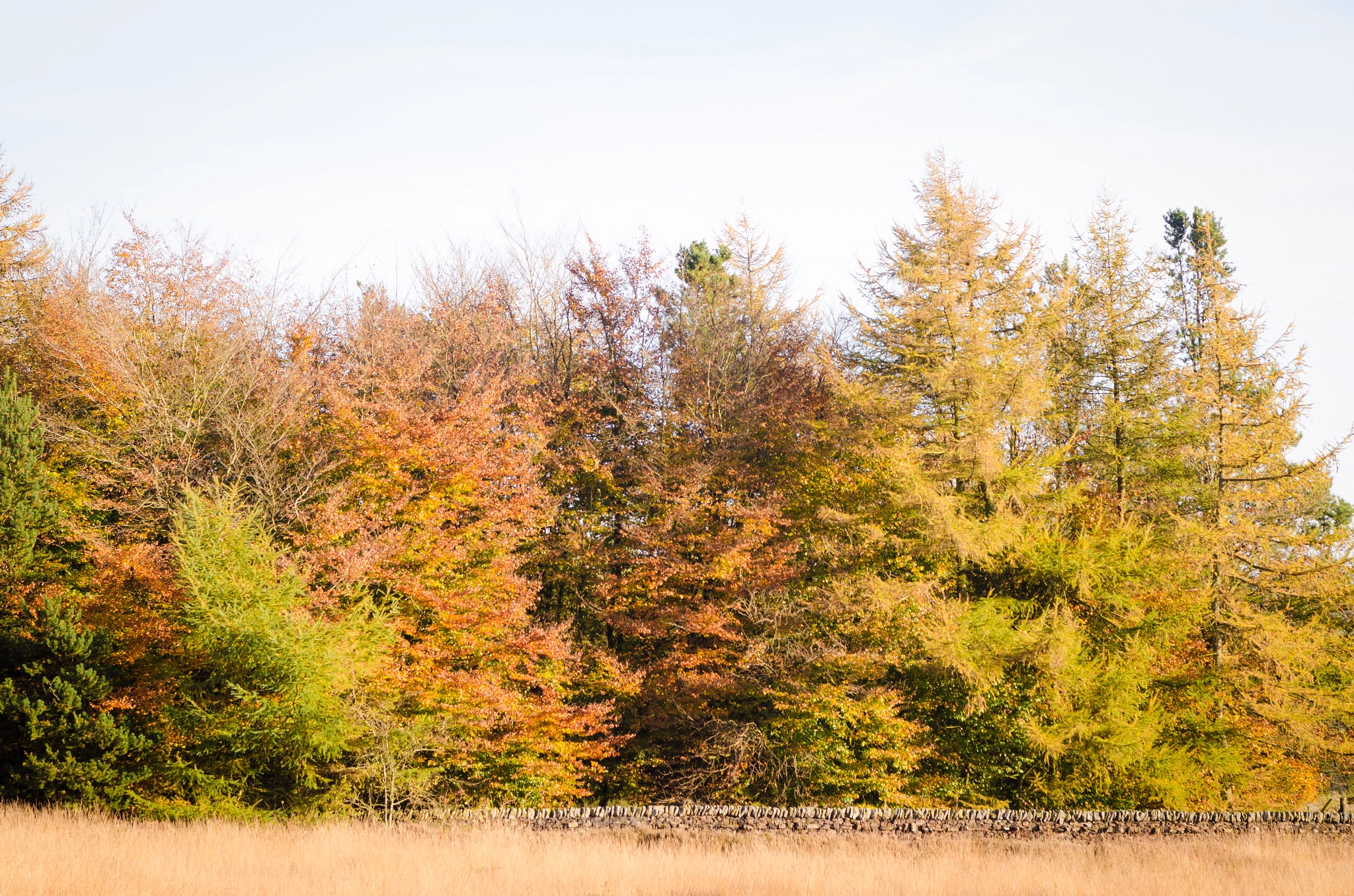 Nikon D7000 + Sigma 24-70mm F2.8 EX DG Macro sample photo. Beacon fell photography