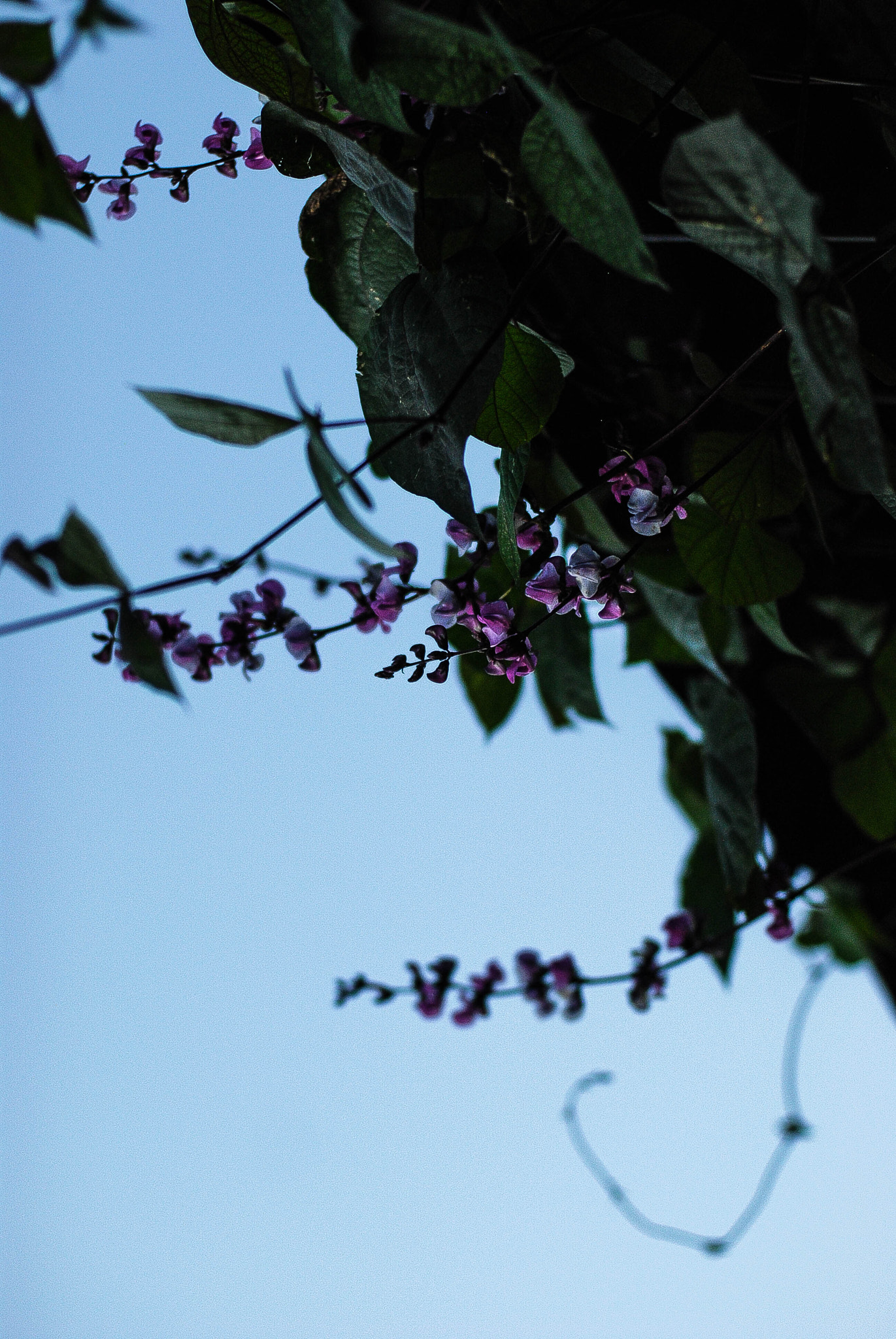 Nikon D80 + Nikon AF Nikkor 50mm F1.4D sample photo. Н photography