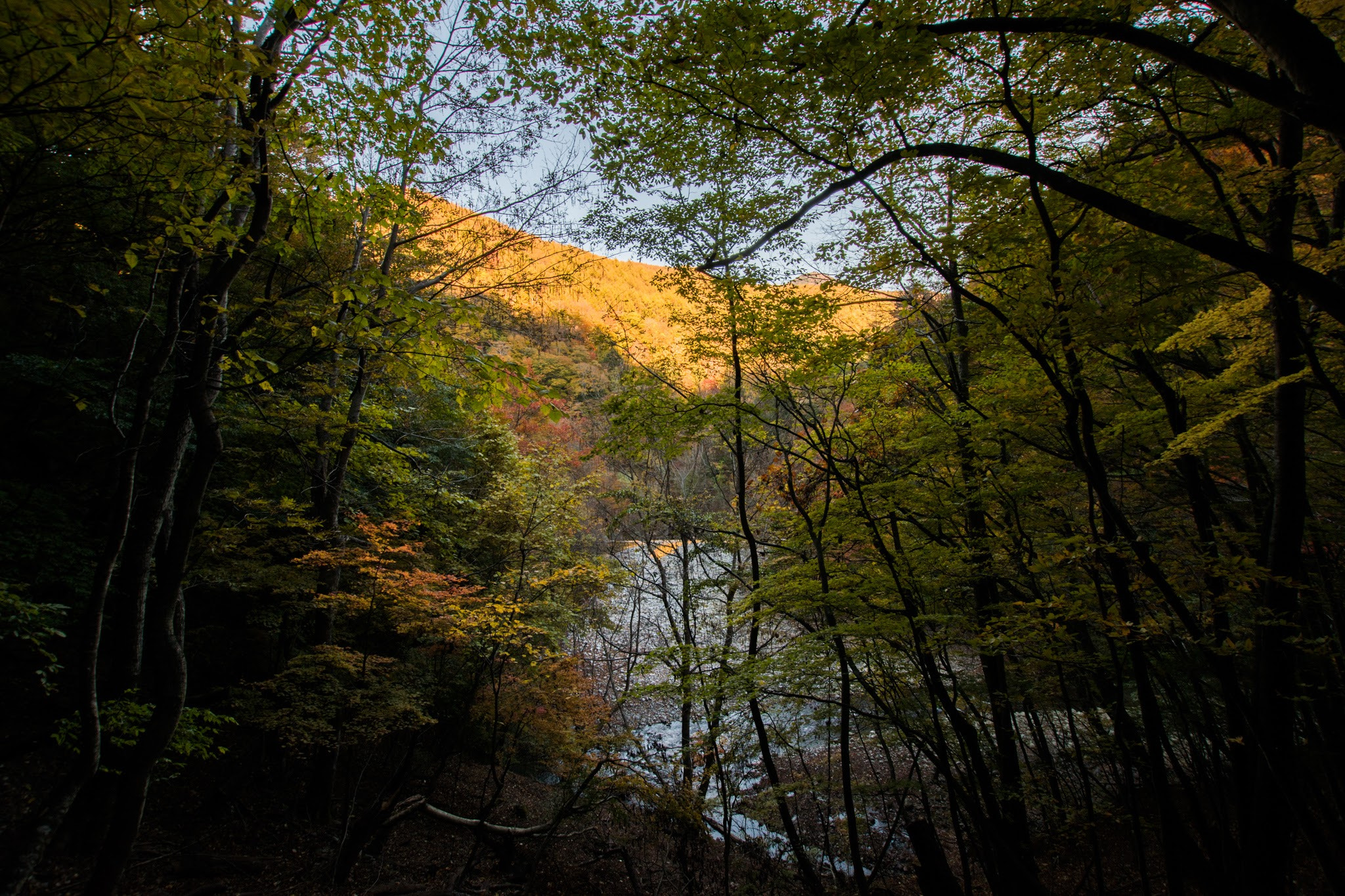 Nikon D5500 + Sigma 10-20mm F3.5 EX DC HSM sample photo