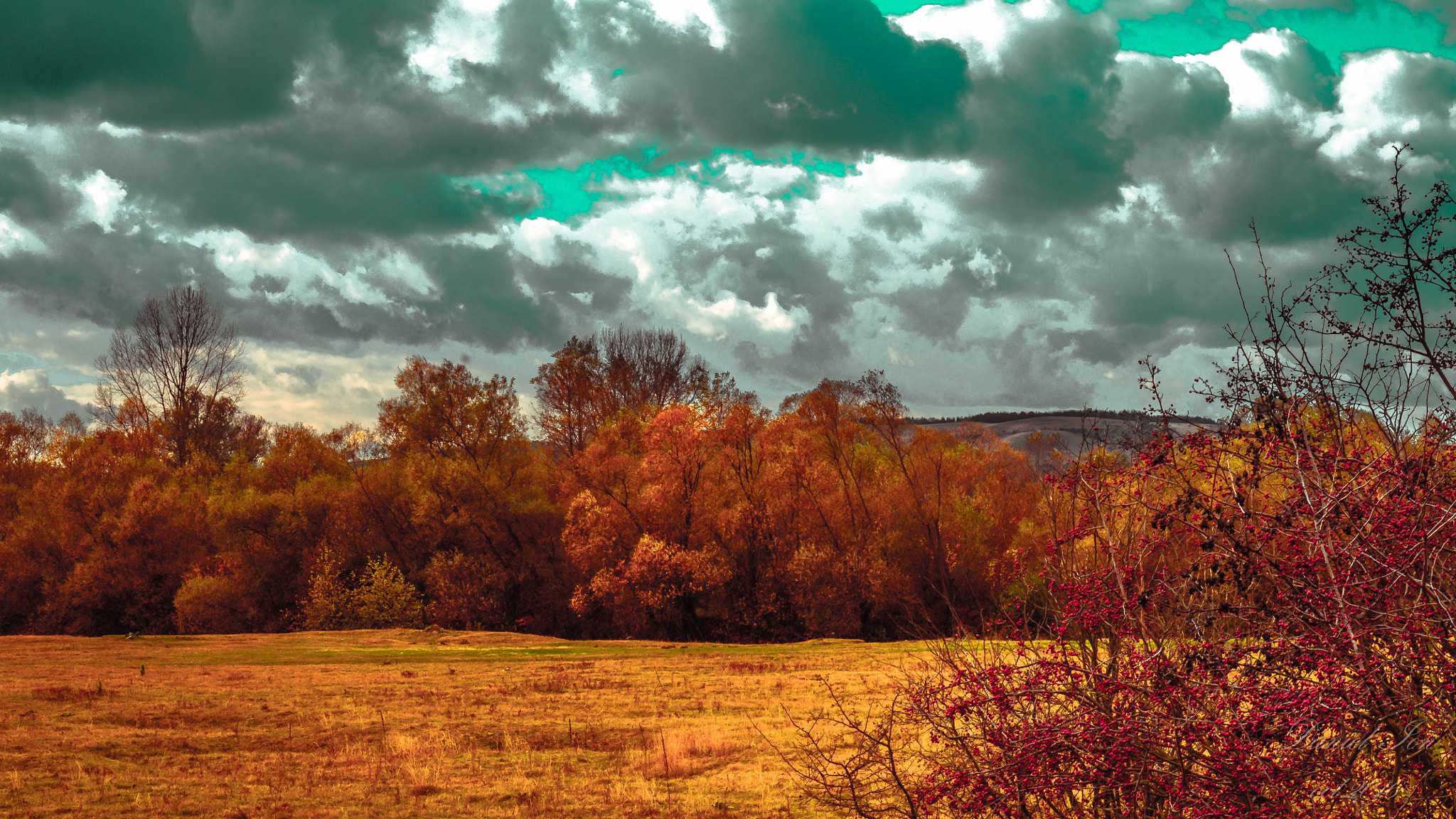 Pentax K-x + A Series Lens sample photo. Autumn photography