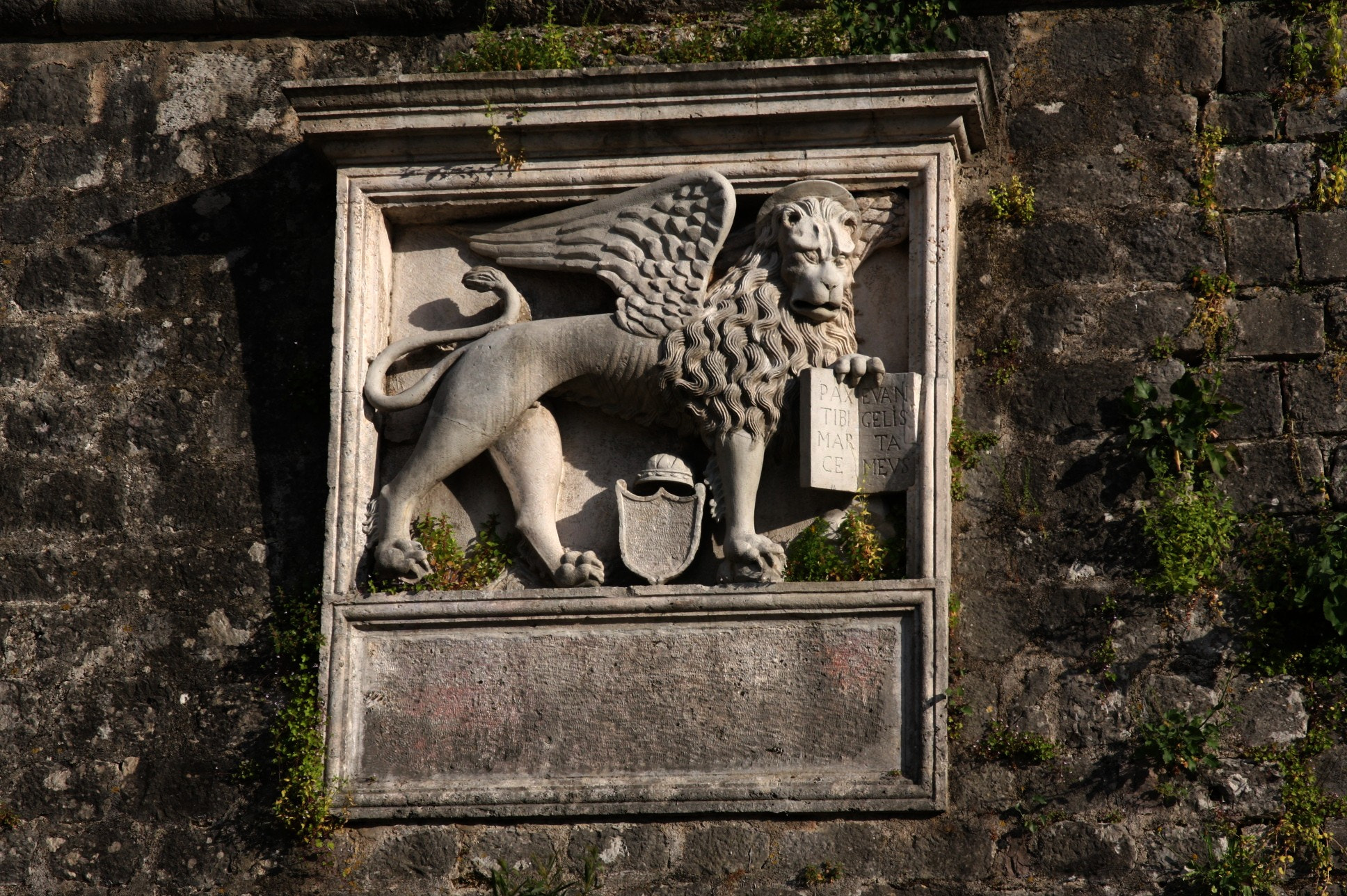 Canon EOS 40D sample photo. Pieces of kotor's old town photography