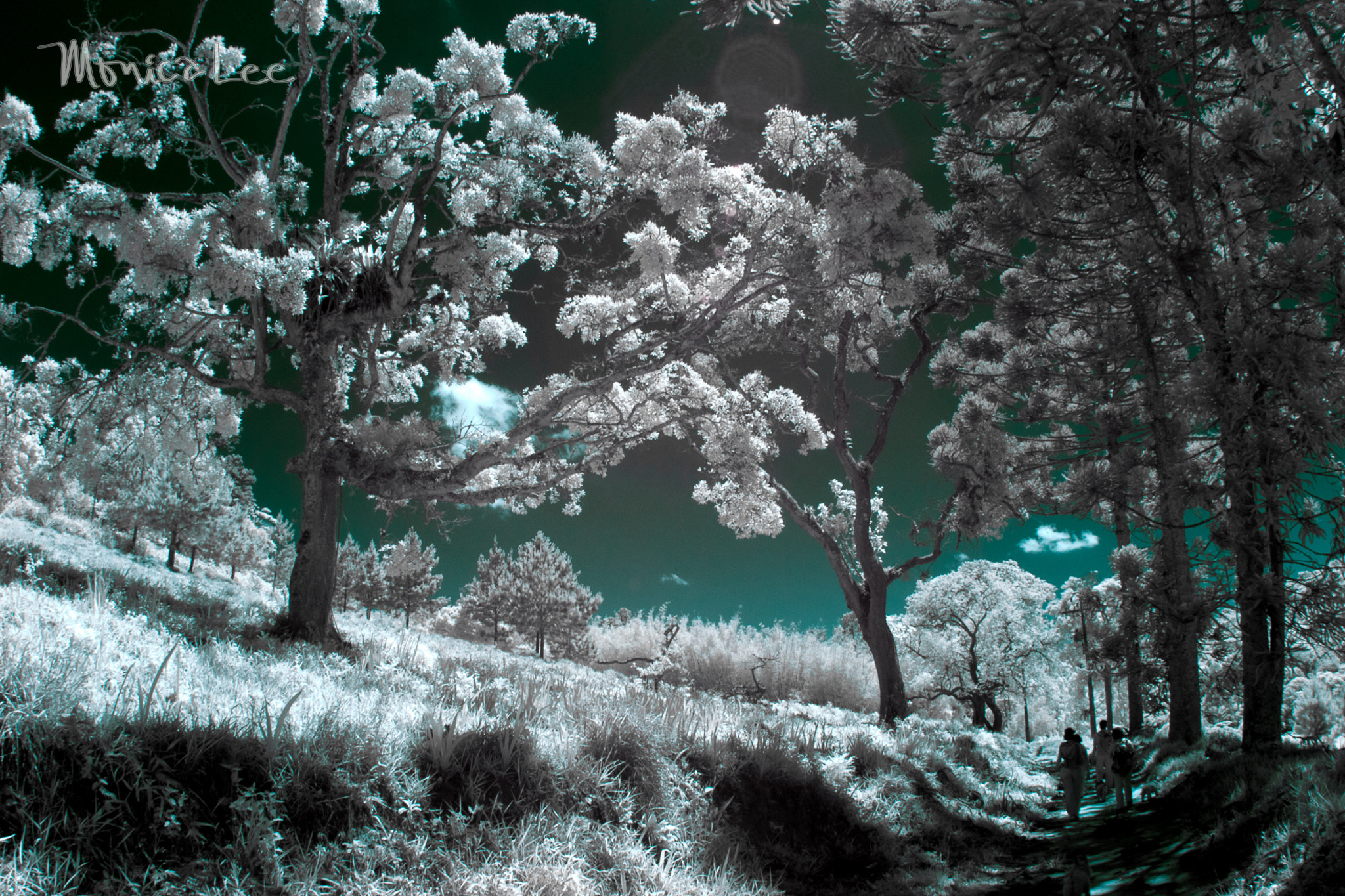Canon EOS 70D + Canon EF 8-15mm F4L Fisheye USM sample photo. Infrared , hiking with friends photography