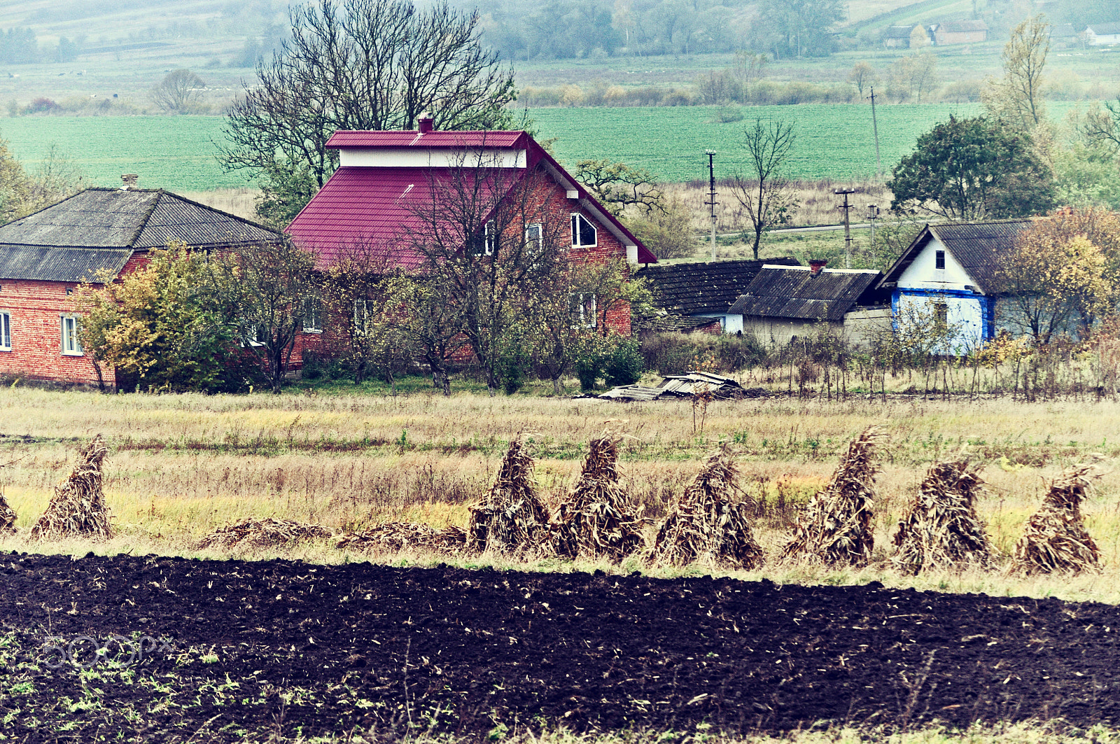 Nikon D5000 sample photo. Autumn travel photography