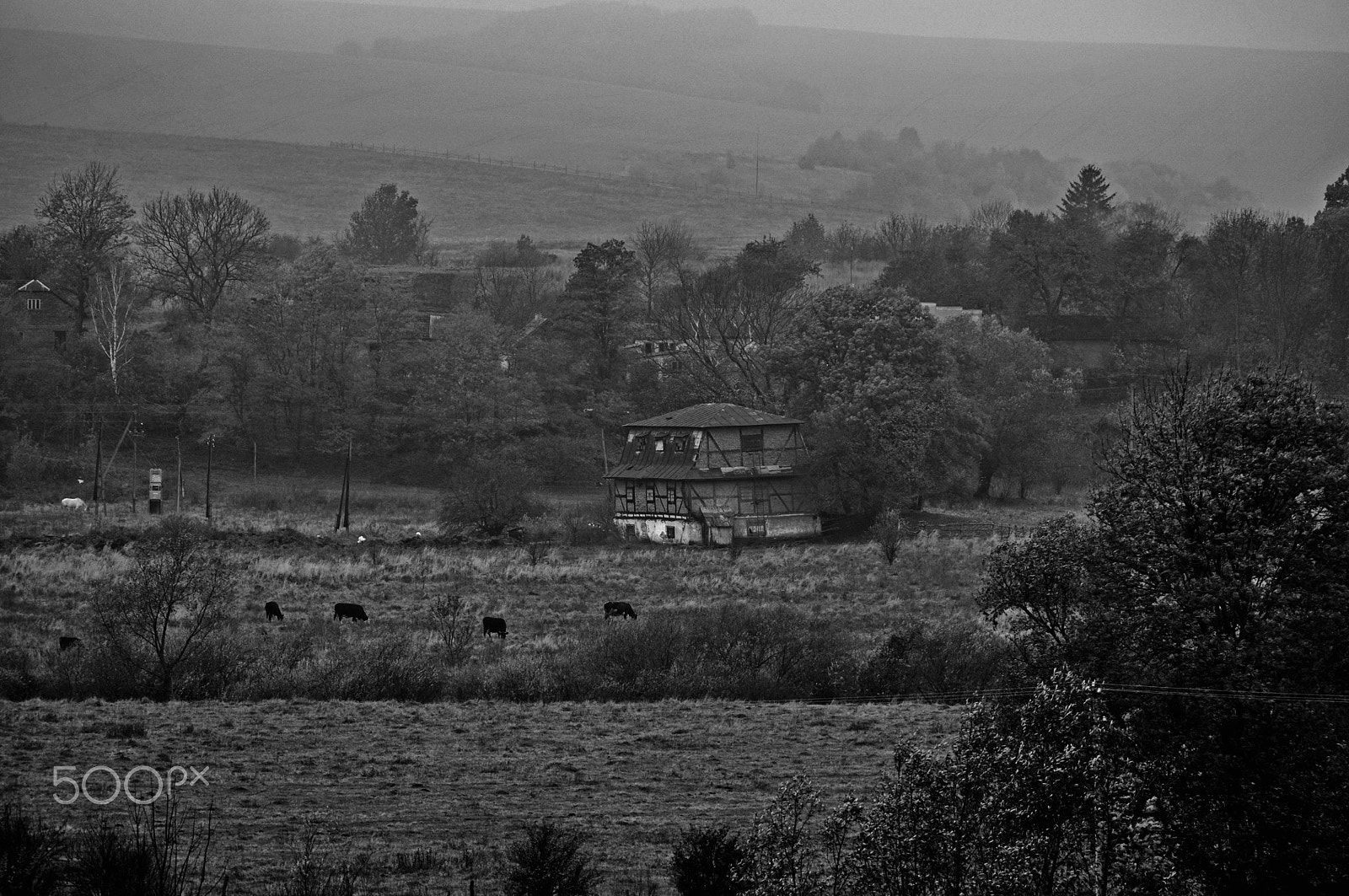 Nikon D5000 sample photo. Autumn travel photography