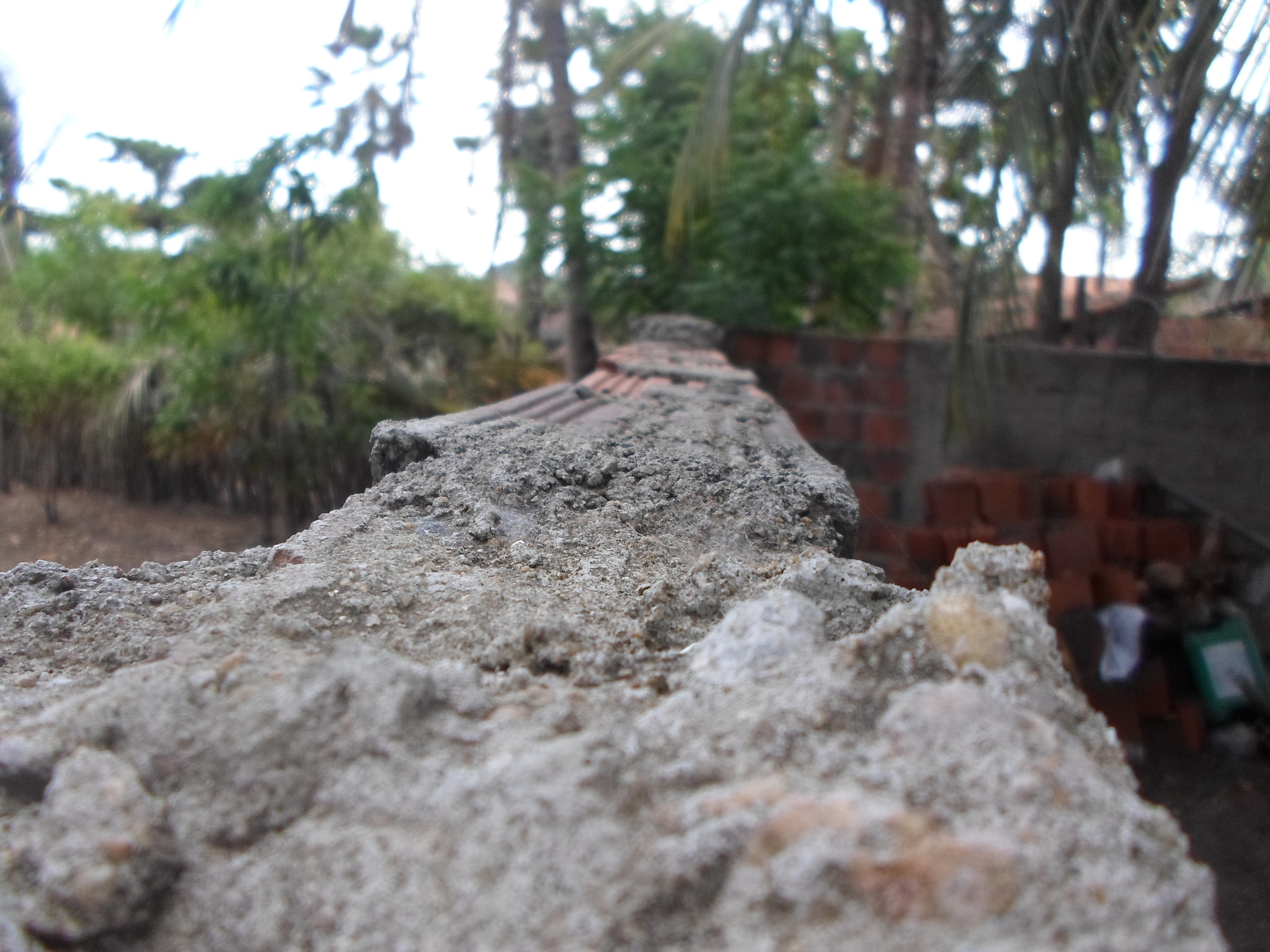 Samsung ES95 sample photo. On top of the wall photography
