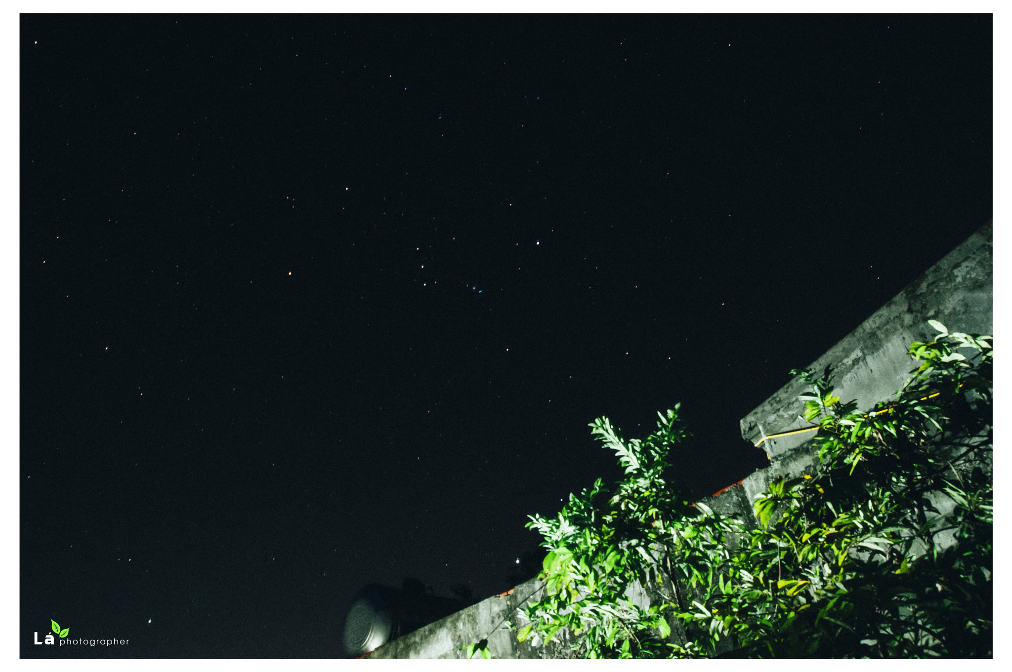 Nikon D300S sample photo