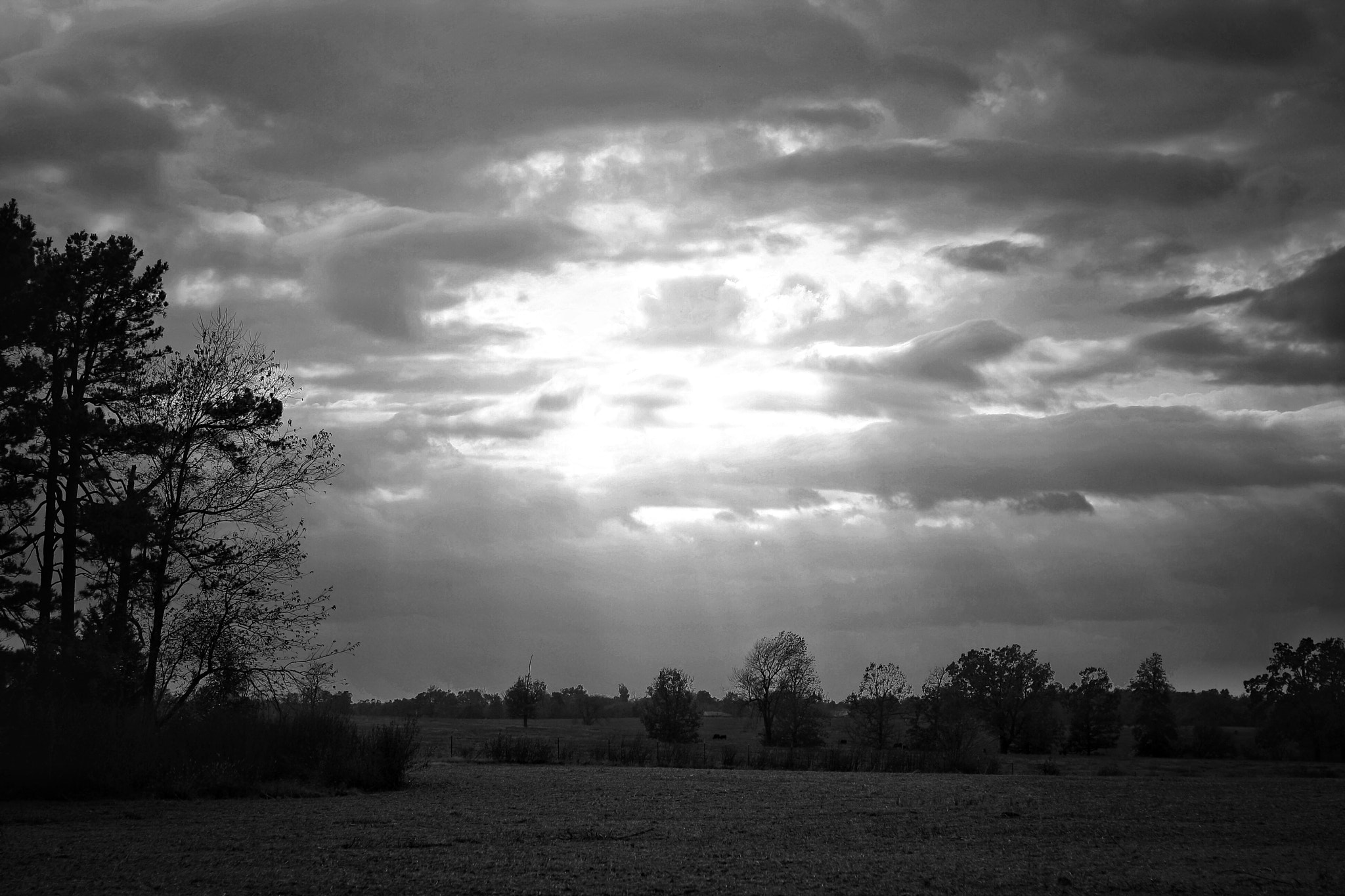 Canon EOS 1000D (EOS Digital Rebel XS / EOS Kiss F) sample photo. Sunset over farmland photography