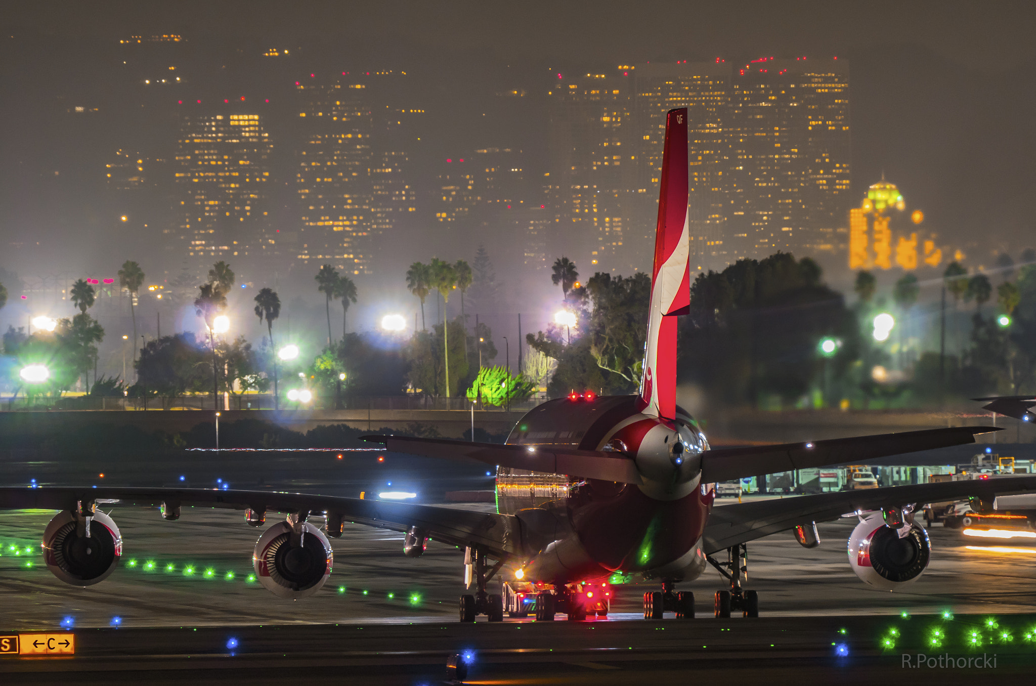 Panasonic Lumix DMC-GX8 + LEICA DG 100-400/F4.0-6.3 sample photo. Ready to fly home photography