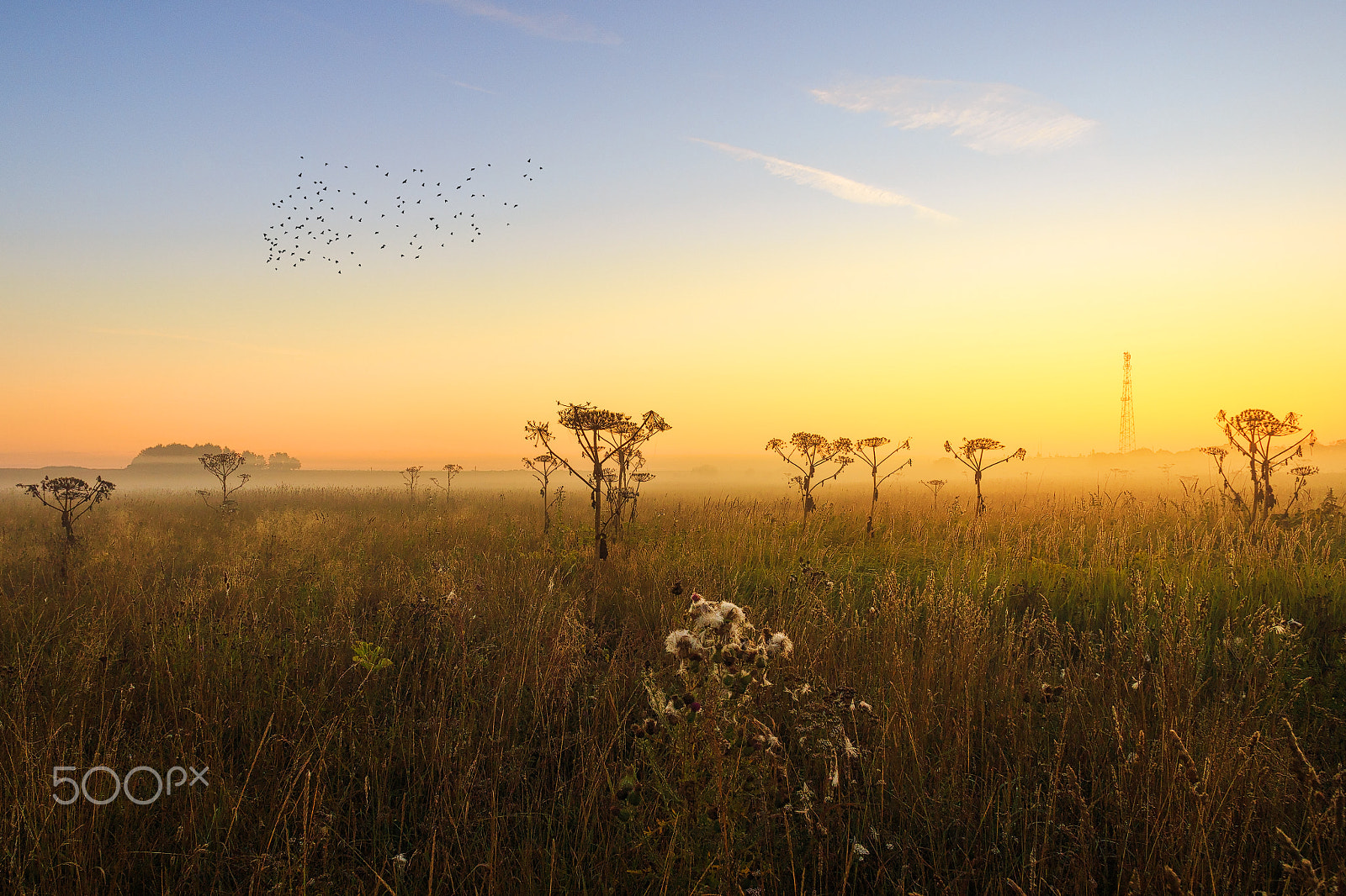 Canon EOS 6D sample photo. Moscow region, russia. photography