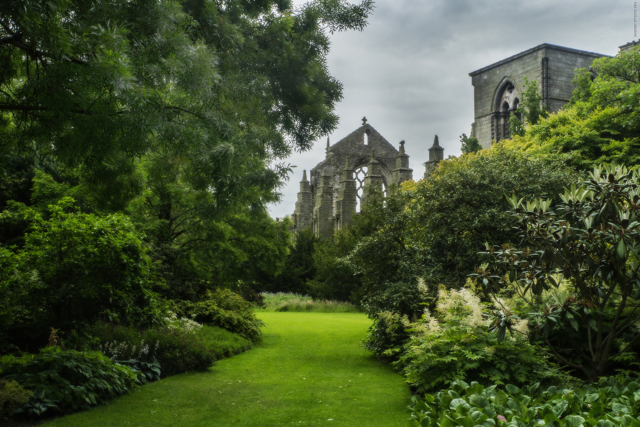 Panasonic Lumix DMC-GH2 sample photo. Abbey path photography