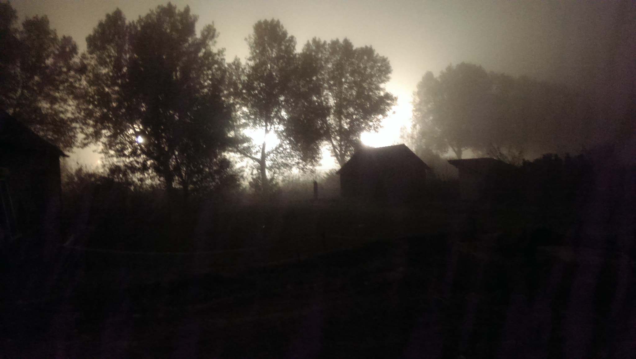 HTC ONE GOOGLE PLAY EDITION sample photo. Fog in fall photography