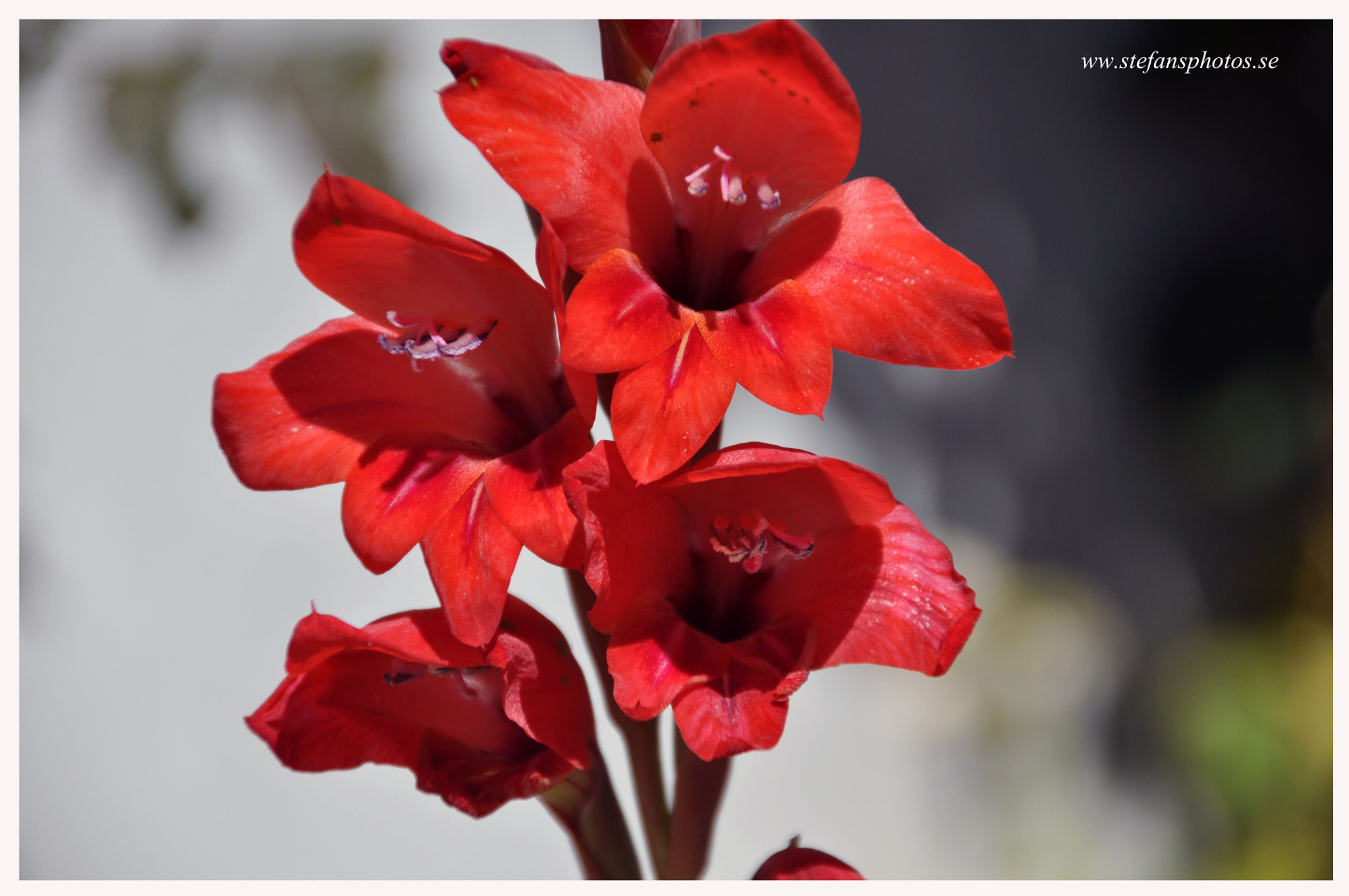 Nikon D5000 sample photo. Amazing photos dsc photography