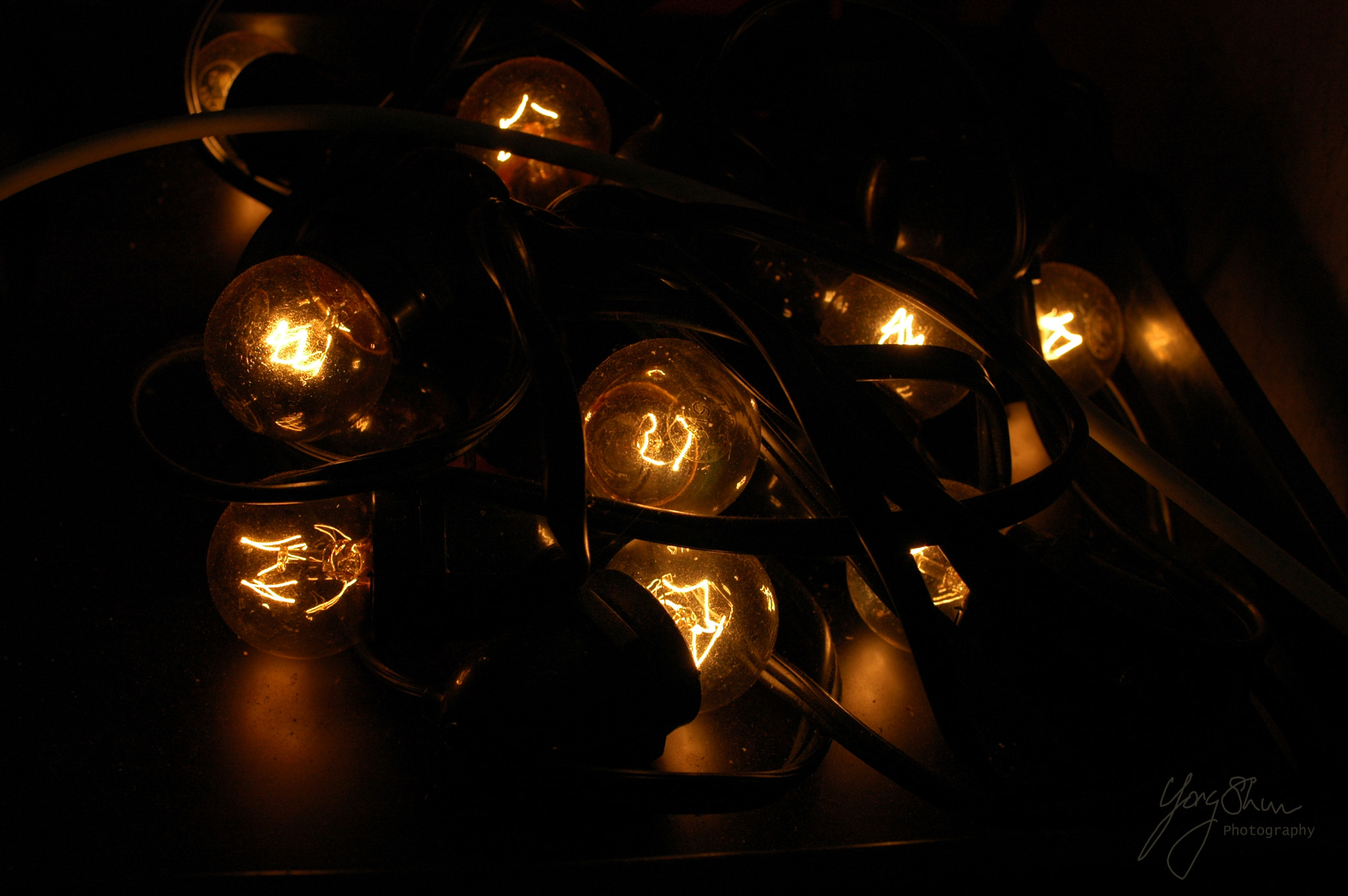 Nikon D70 sample photo. Tungsten photography