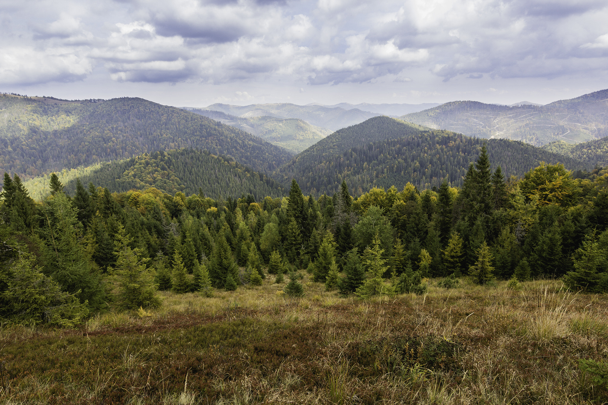 Tokina AT-X 12-28mm F4 Pro DX sample photo. Autumn mountains landscape photography