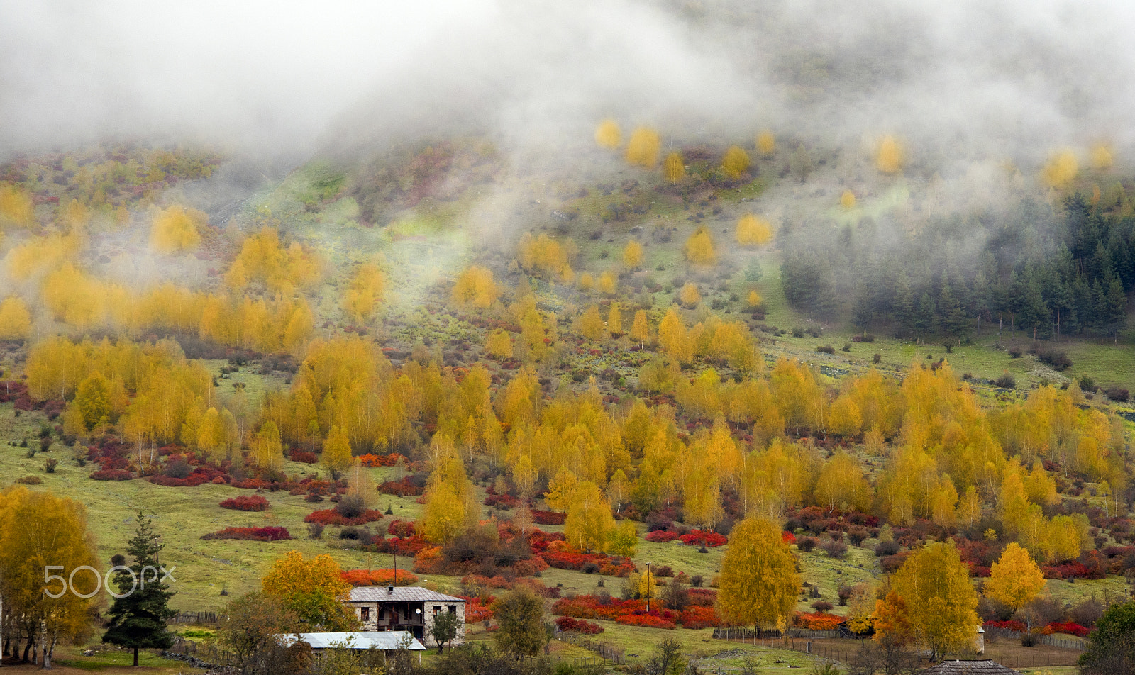 Nikon D3 sample photo. Autumn in svaneti ... photography