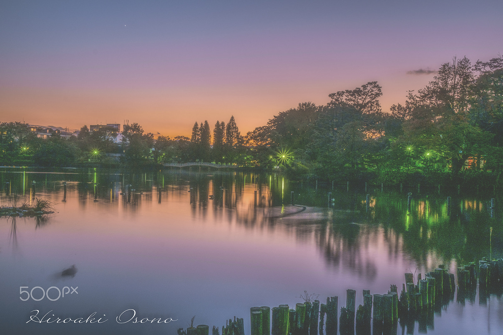 Fujifilm XC 16-50mm F3.5-5.6 OIS sample photo. Senzoku pond photography