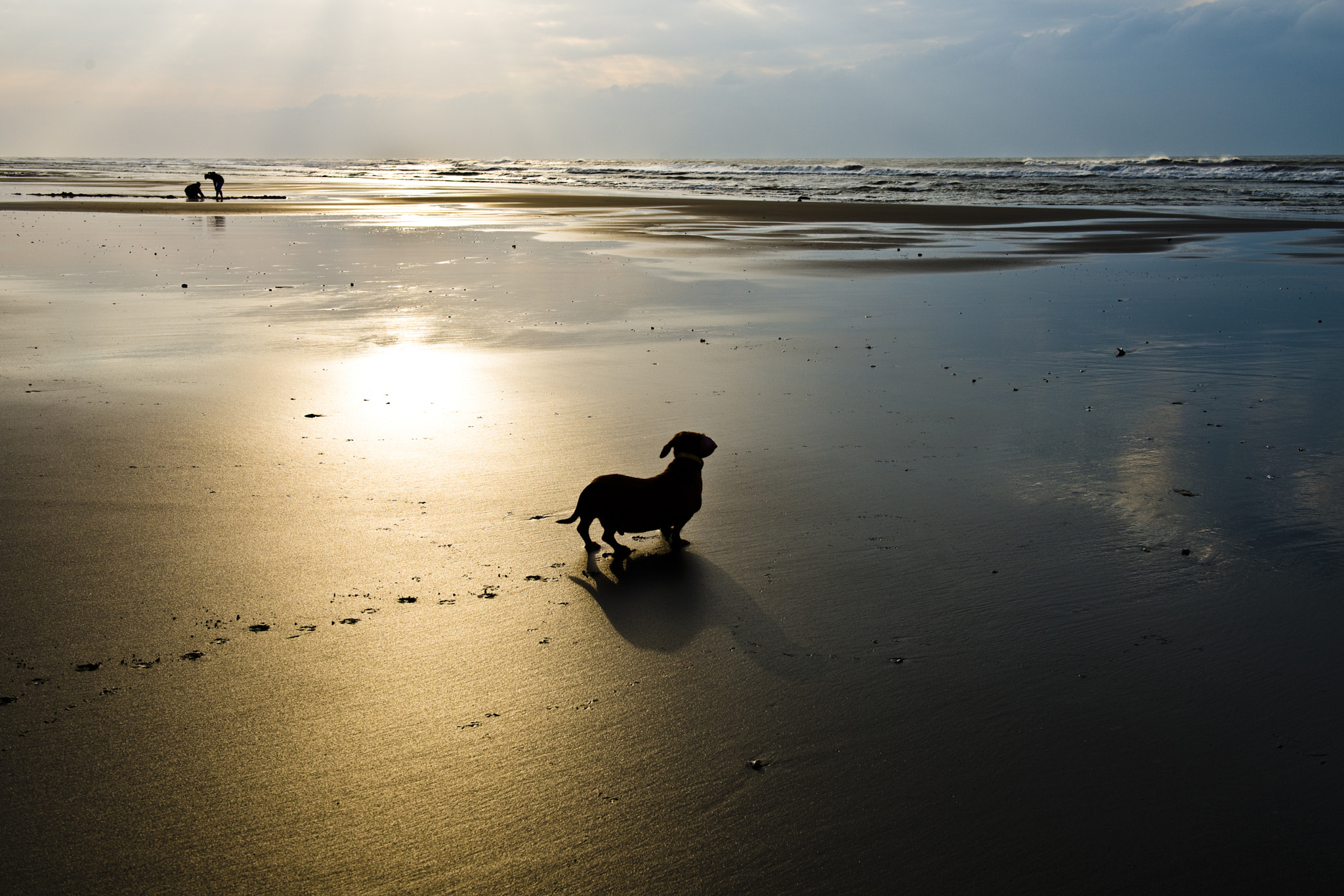 Nikon D800 + AF Nikkor 28mm f/2.8 sample photo. Walk photography