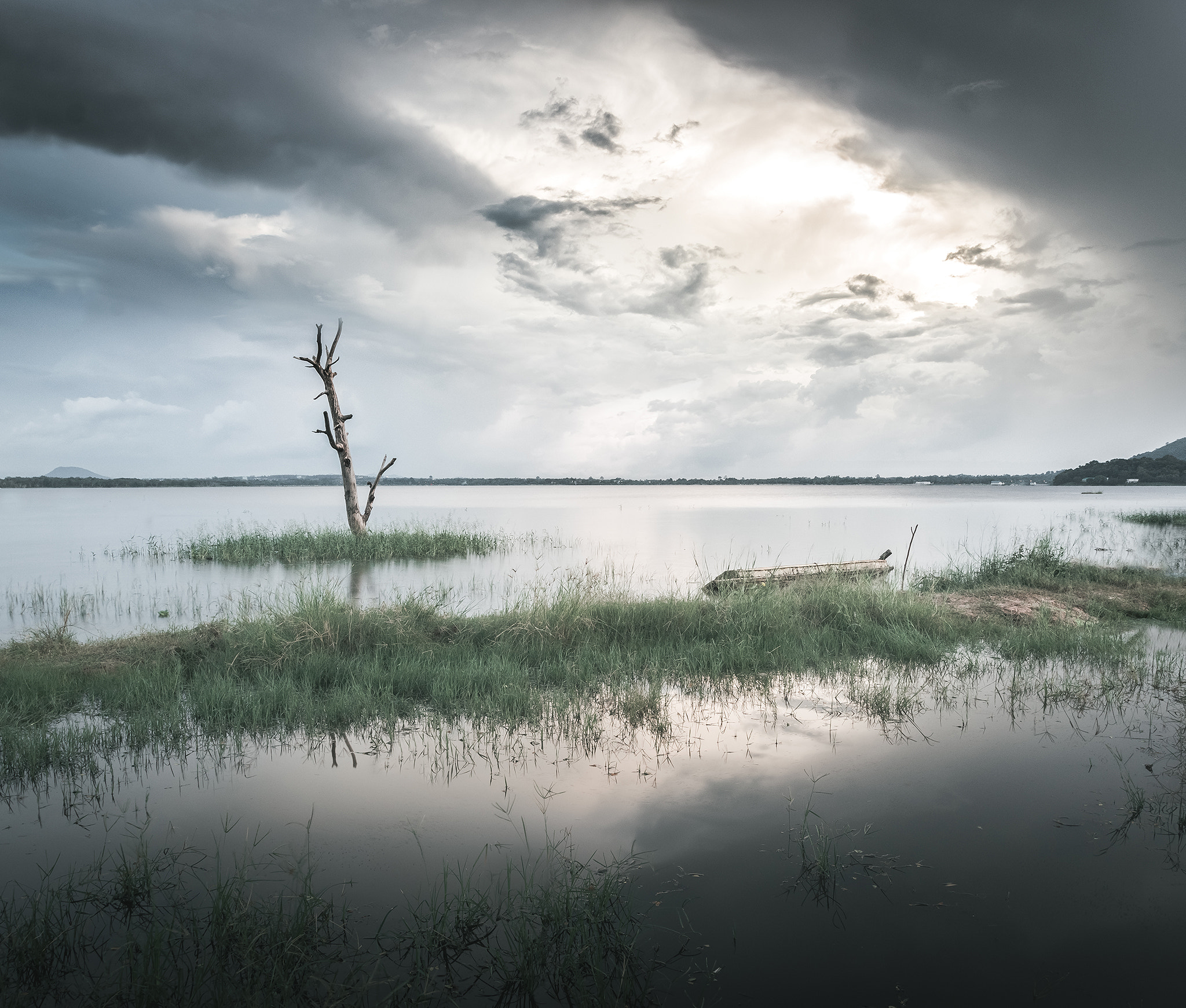 Canon EOS 100D (EOS Rebel SL1 / EOS Kiss X7) + Canon EF 17-40mm F4L USM sample photo. The lonely tree photography