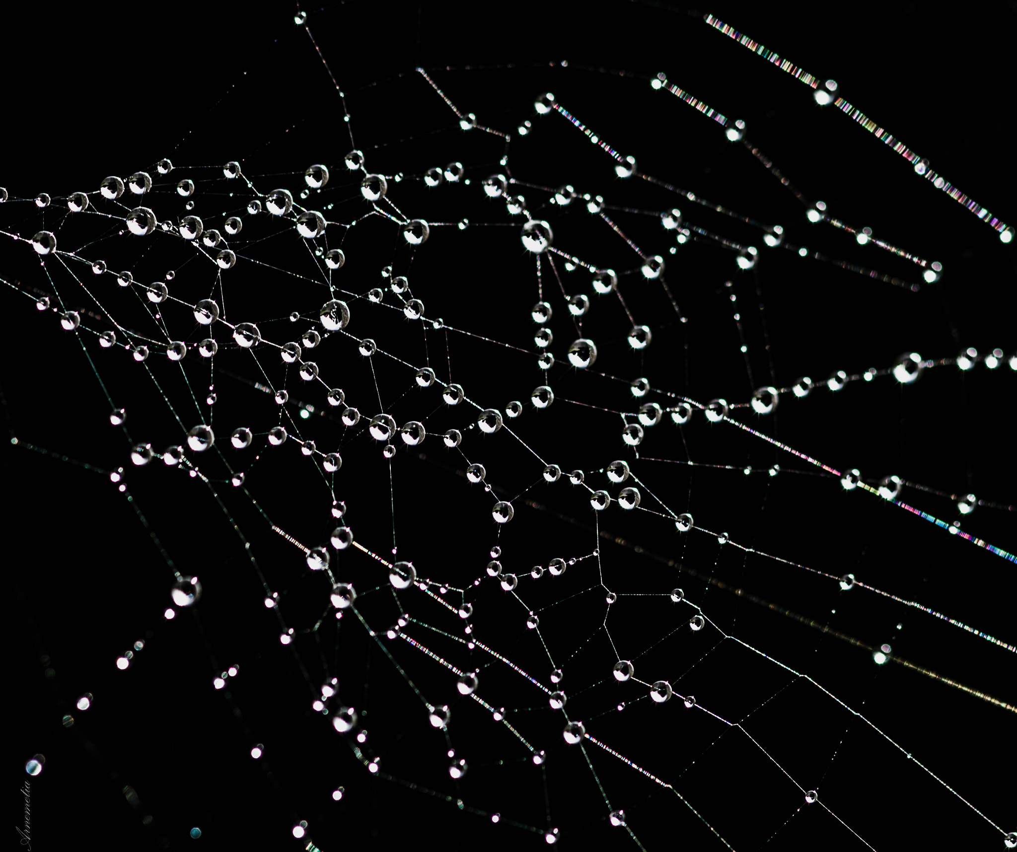 Sigma 105mm F2.8 EX DG OS HSM sample photo