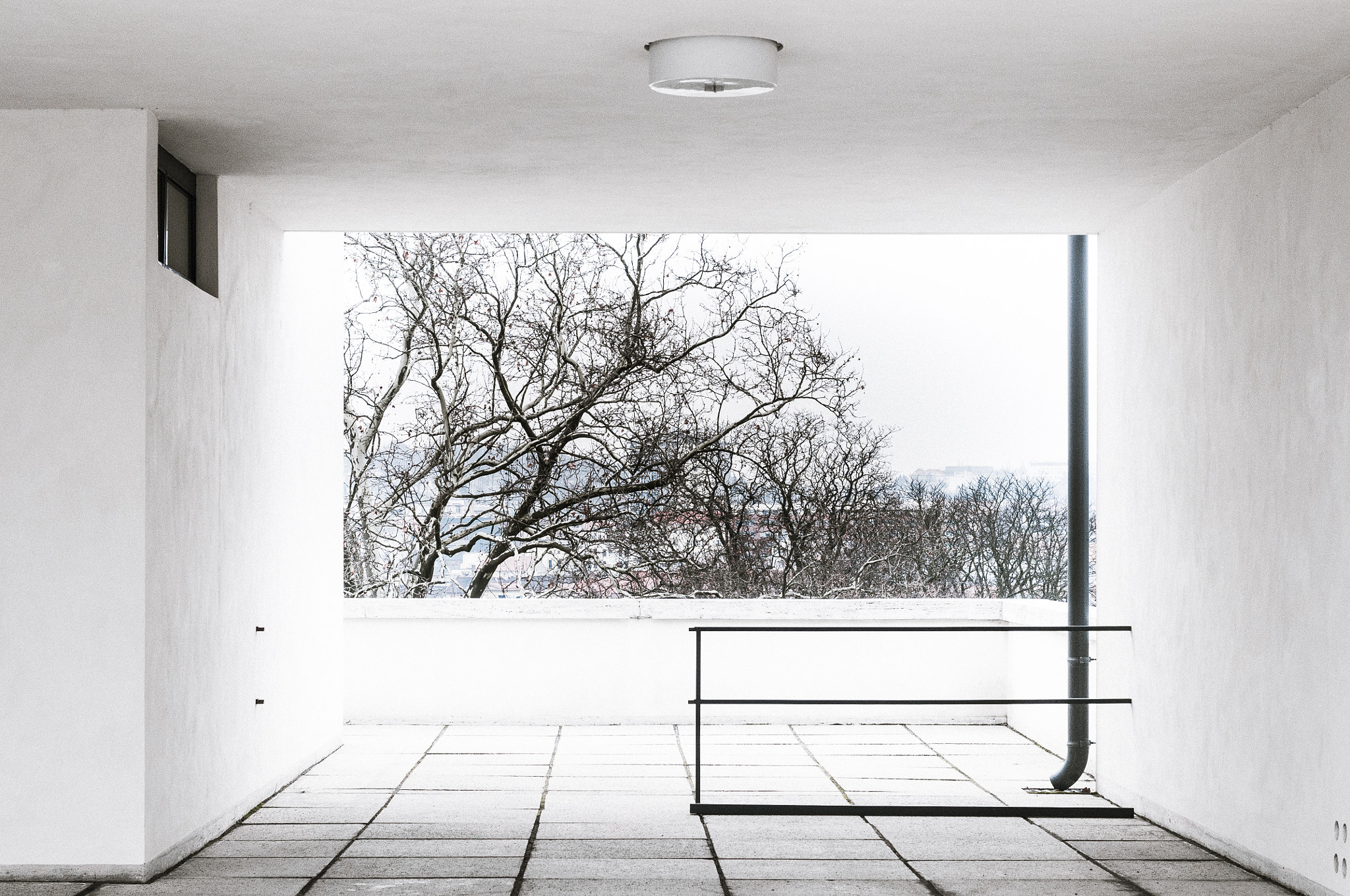 Nikon D300S + Nikon AF Nikkor 50mm F1.4D sample photo. Villa tugendhat photography