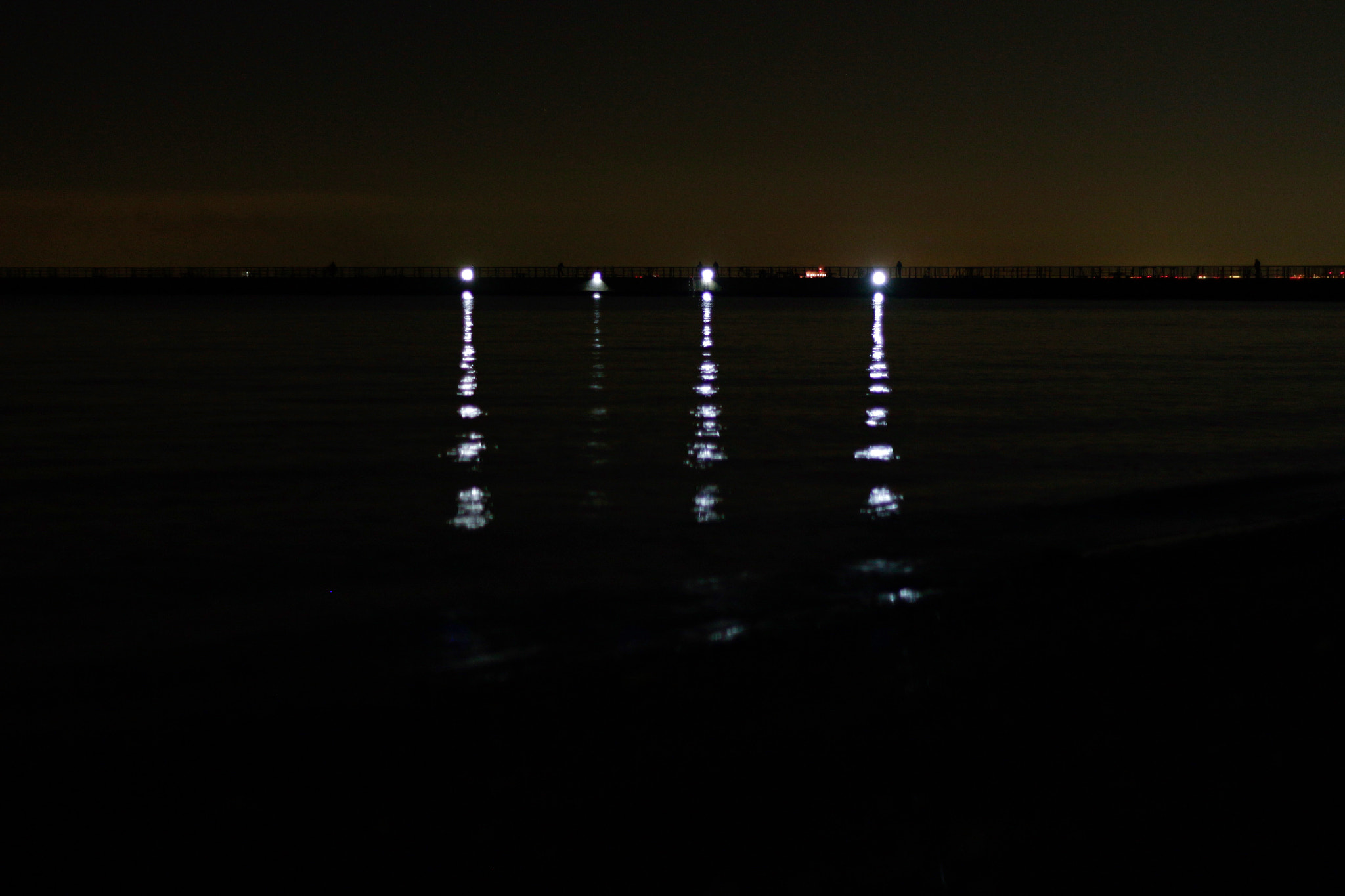 Canon EOS 100D (EOS Rebel SL1 / EOS Kiss X7) + Canon EF 50mm F1.8 II sample photo. Night fishing photography
