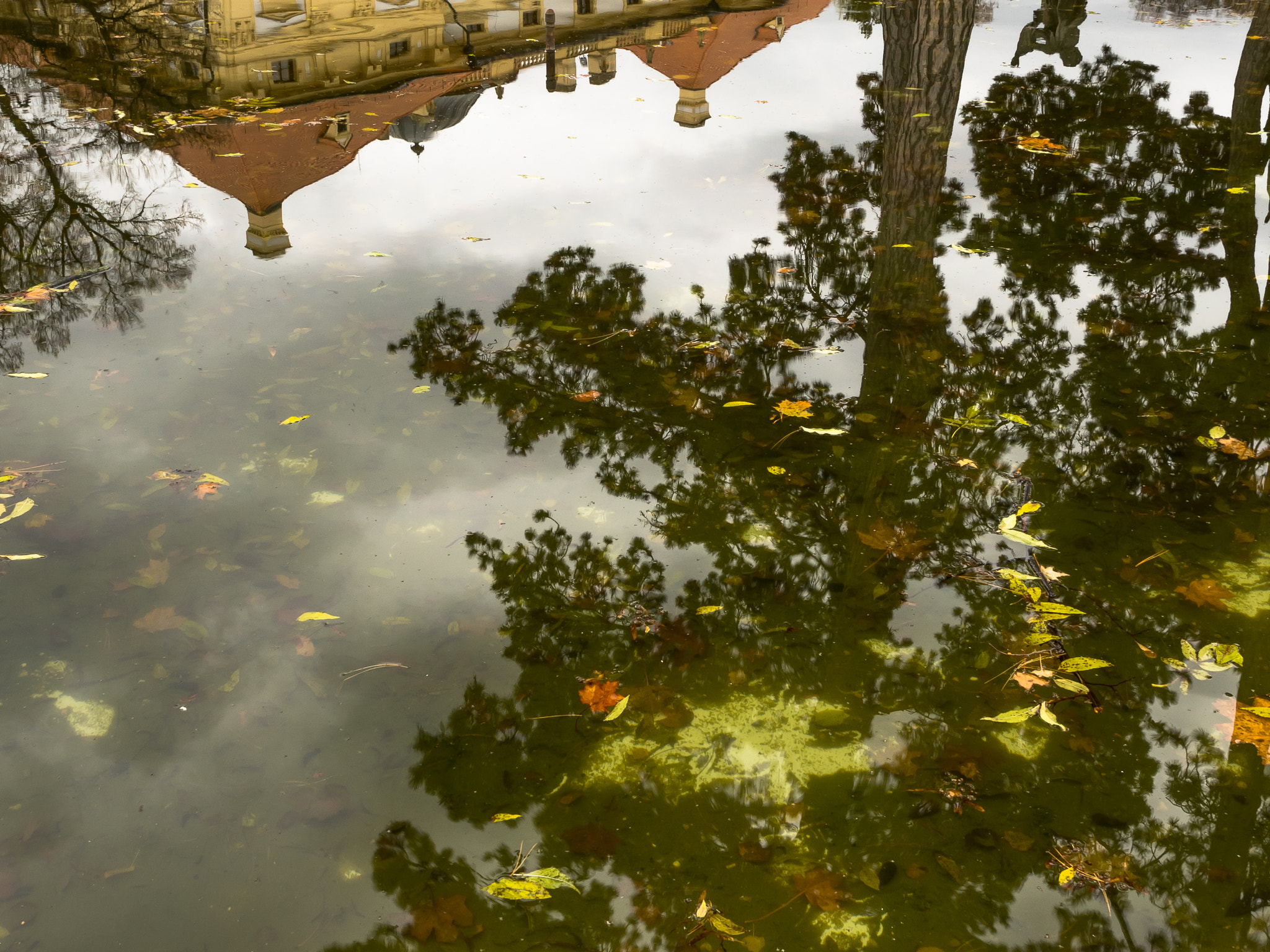 Pentax K-3 sample photo. Reflection of the castle and trees in the lagoon photography