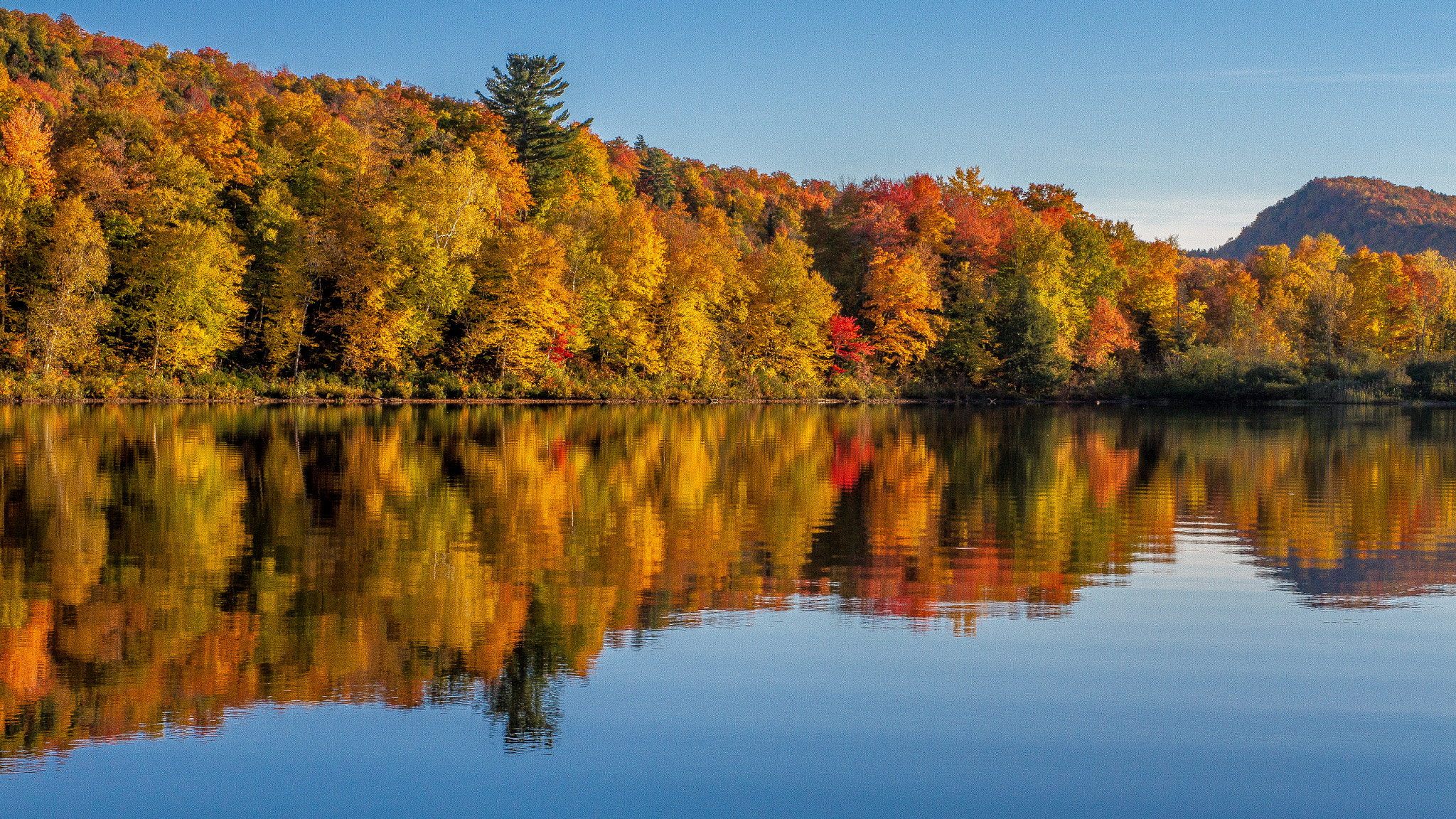 Sigma 50mm F1.4 EX DG HSM sample photo. More lake eden fall reflections photography