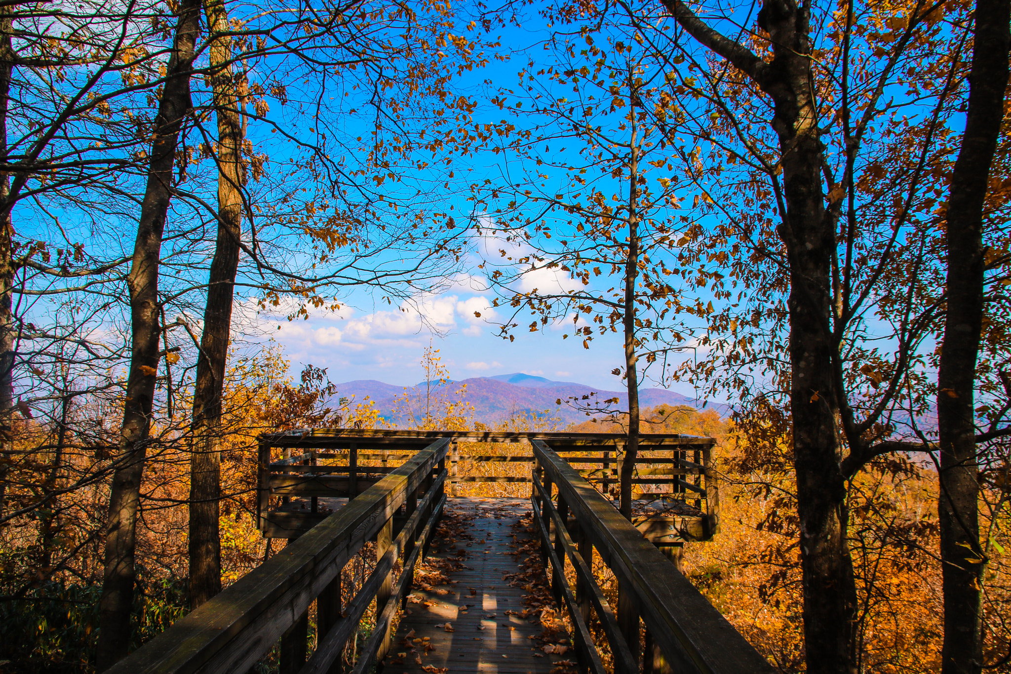Canon EF 75-300mm F4.0-5.6 IS USM sample photo. Autumn photography