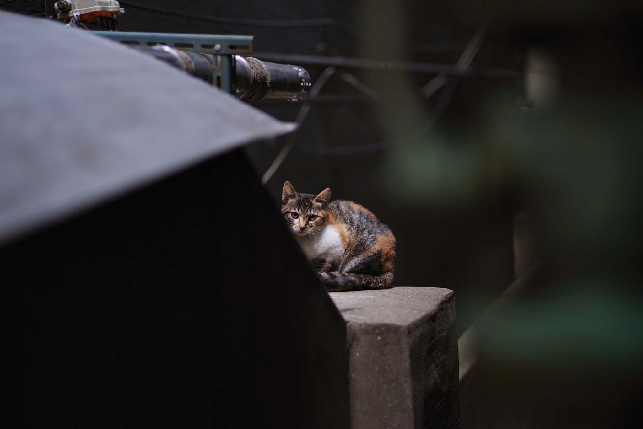 Pentax K-1 sample photo. A warm place photography