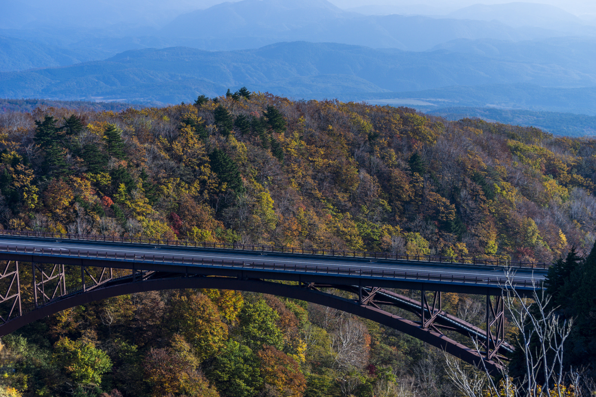 Sony FE 70-300mm F4.5-5.6 G OSS sample photo. Autumn bridge photography