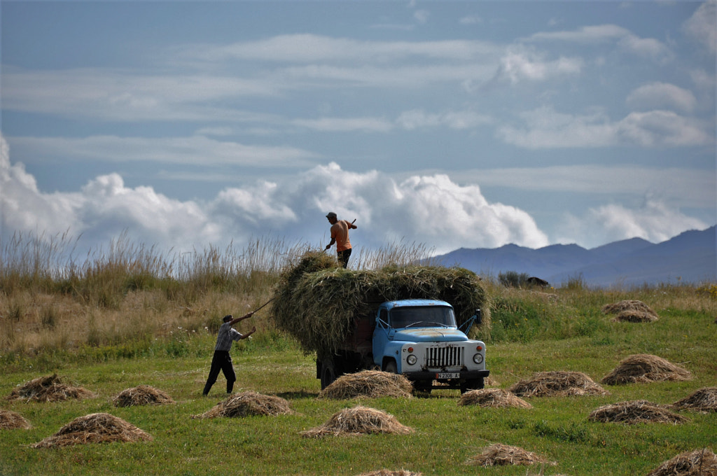 Countryside  by Niv Shimoni  on 500px.com