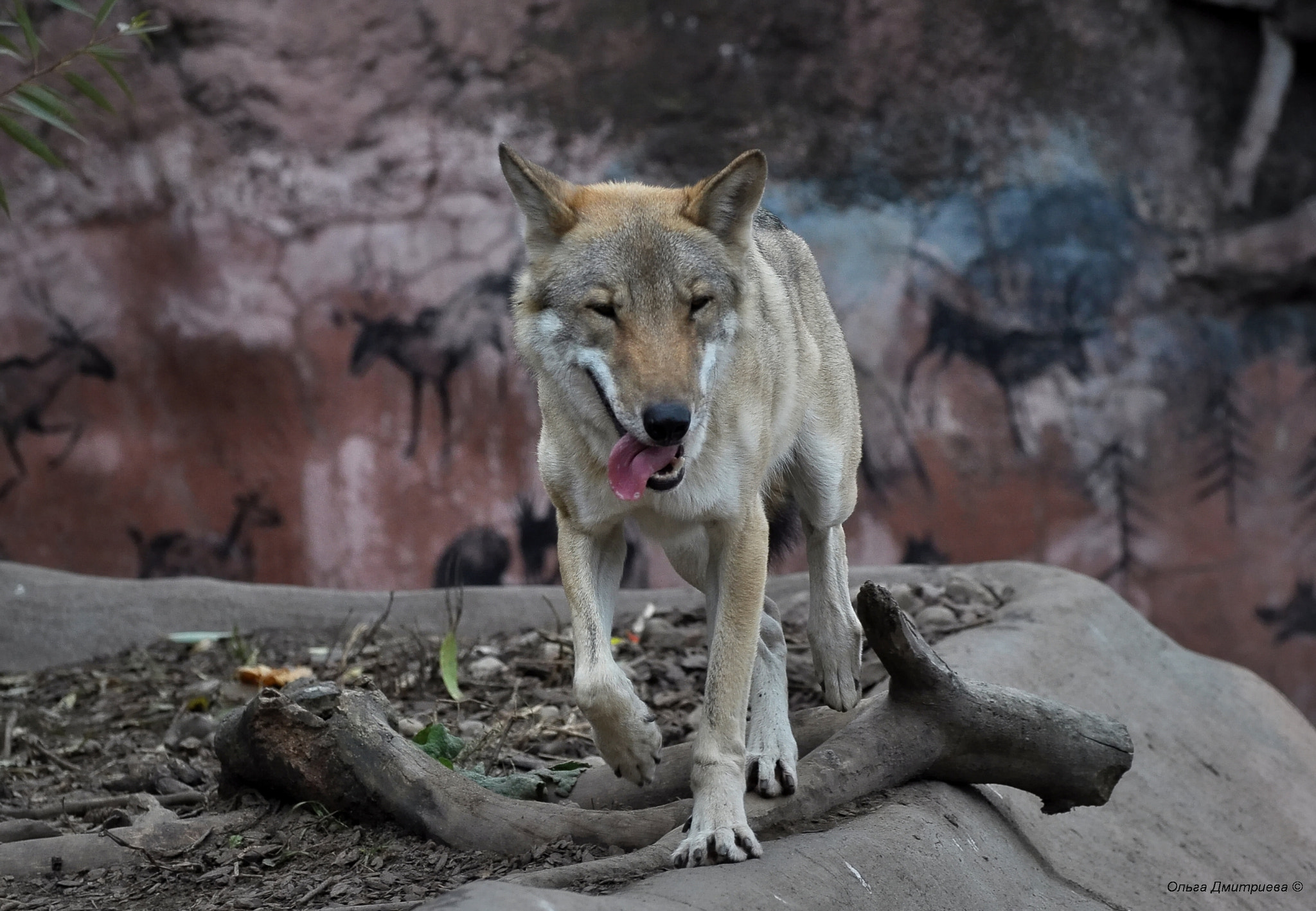 Nikon D5000 sample photo. *** photography