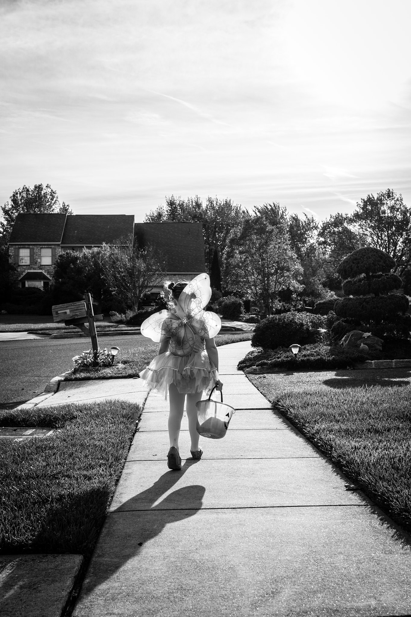 Sony a6000 sample photo. Halloween butterfly photography