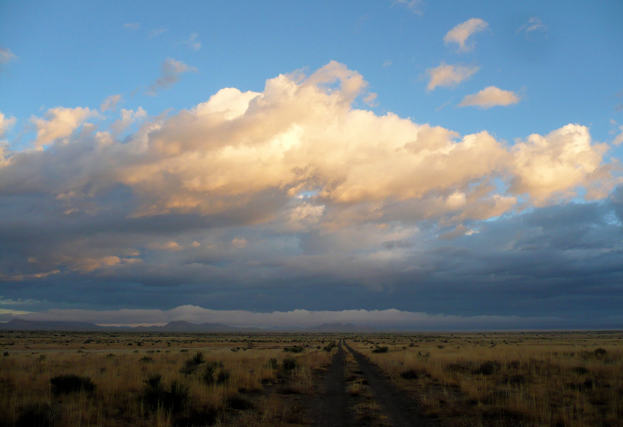 Panasonic DMC-FX12 sample photo. Dawn on the jornada del muerto photography