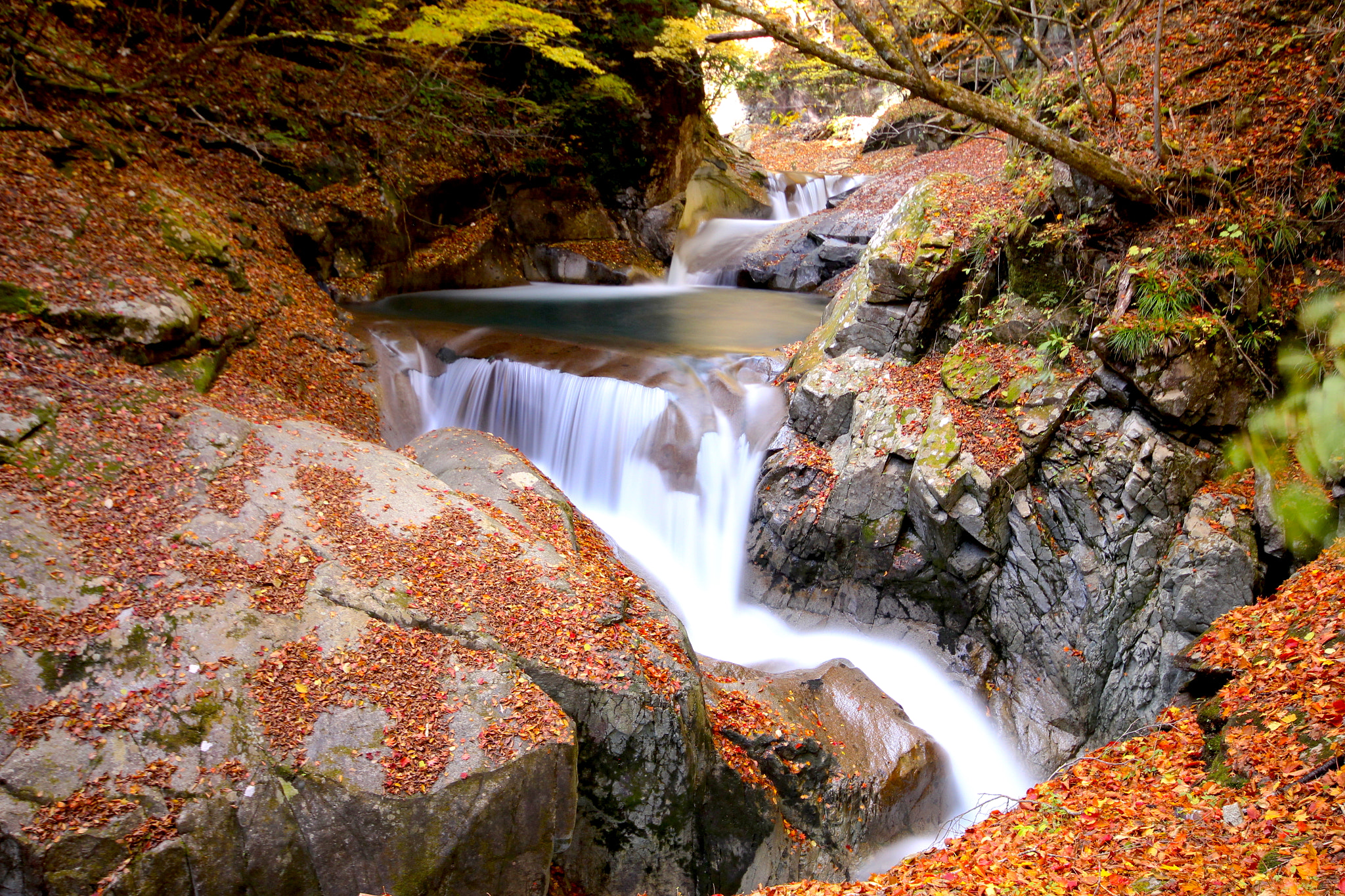 Canon EOS 550D (EOS Rebel T2i / EOS Kiss X4) sample photo. Nishizawa valley 1 photography
