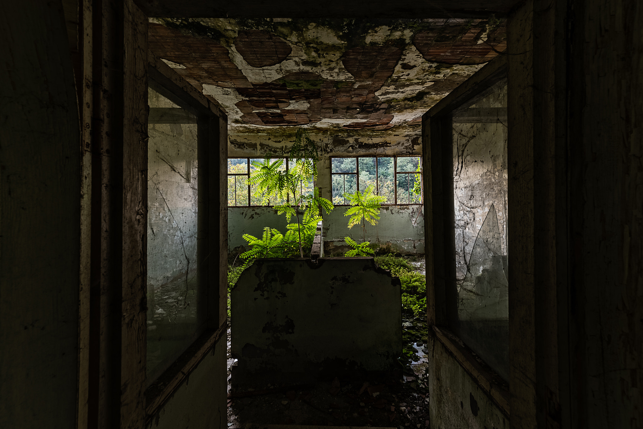 Sigma 12-24mm F4.5-5.6 II DG HSM sample photo. Office, abandoned aircraft factory, italy photography
