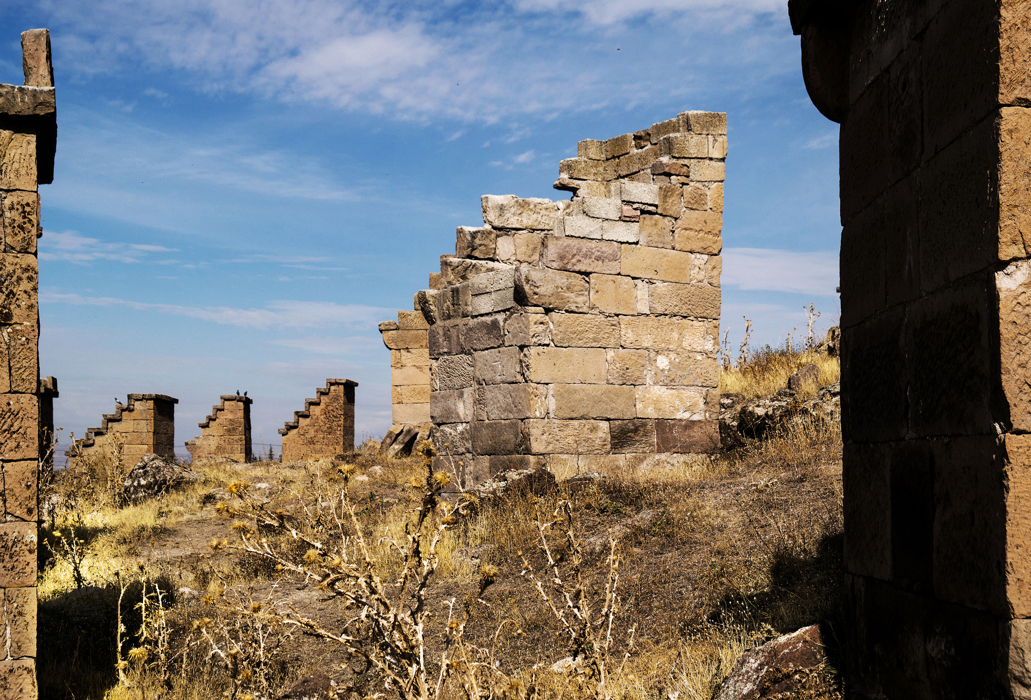 Samsung NX30 + Samsung NX 18-55mm F3.5-5.6 OIS sample photo. Fff photography