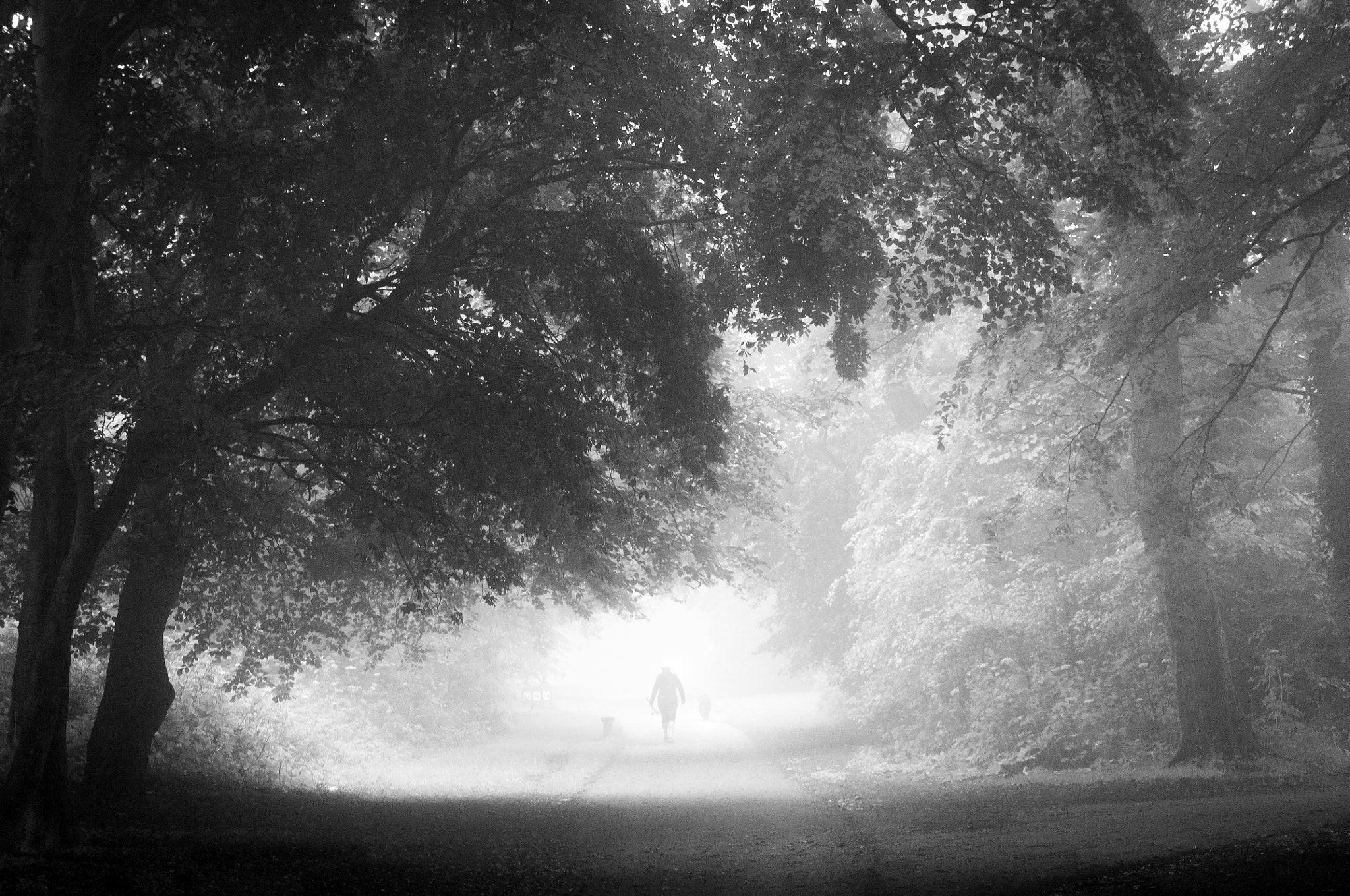 Nikon D300 sample photo. Dublin #18 photography