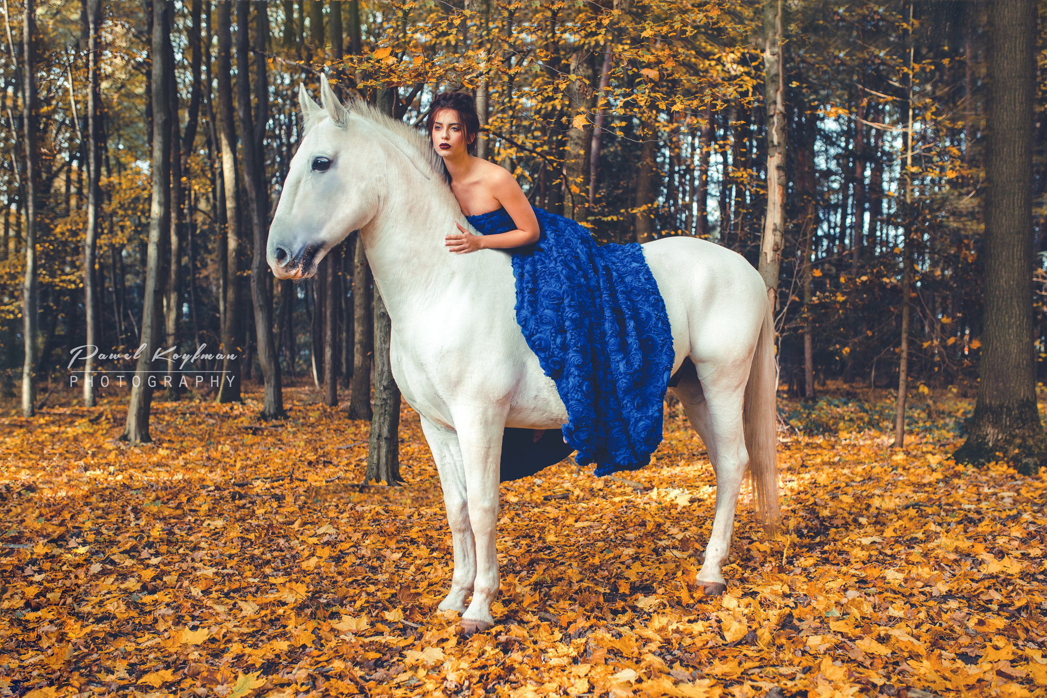 Sigma 35mm F1.4 DG HSM Art sample photo. White horse photography