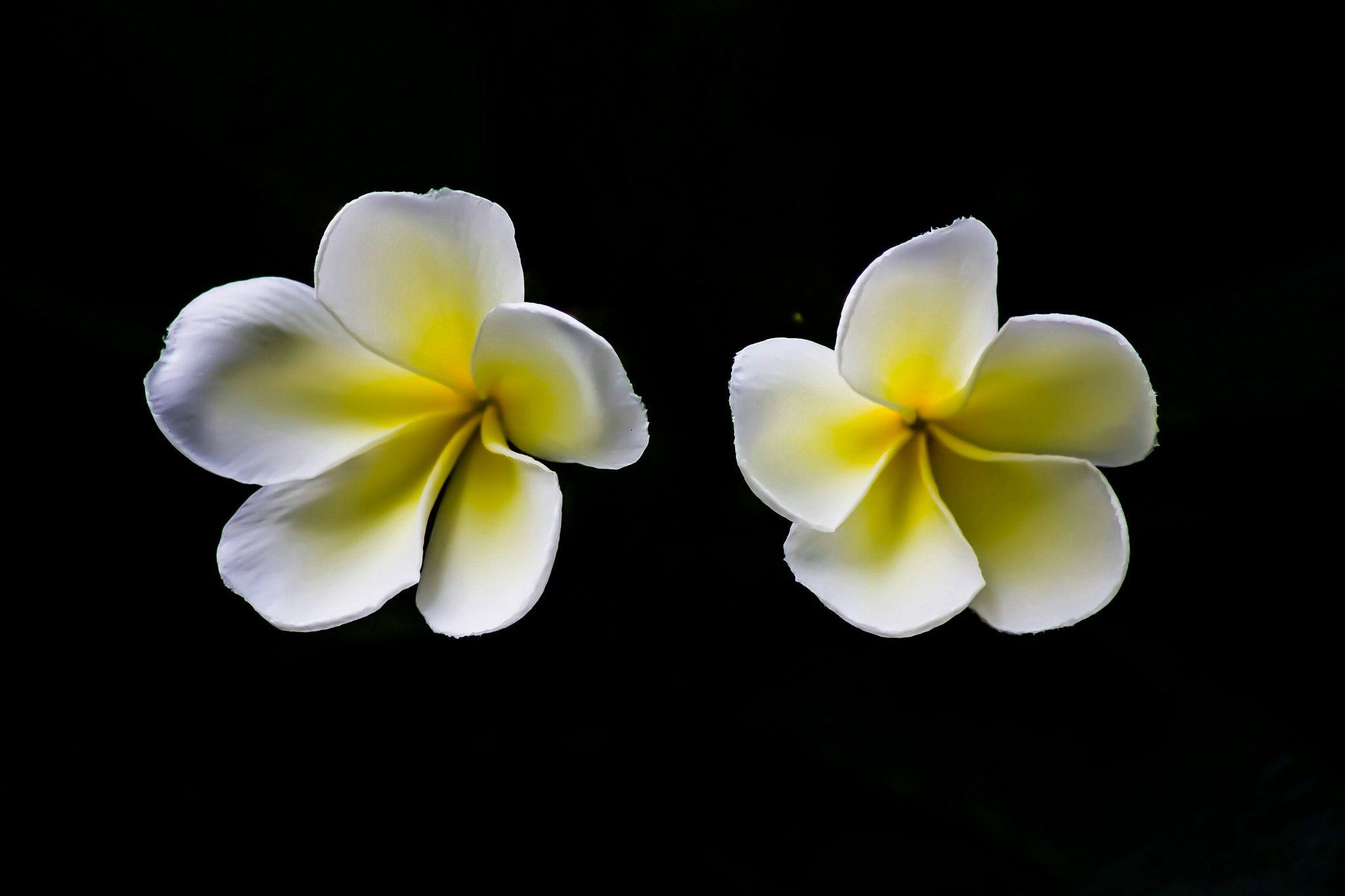 Canon EOS 5D sample photo