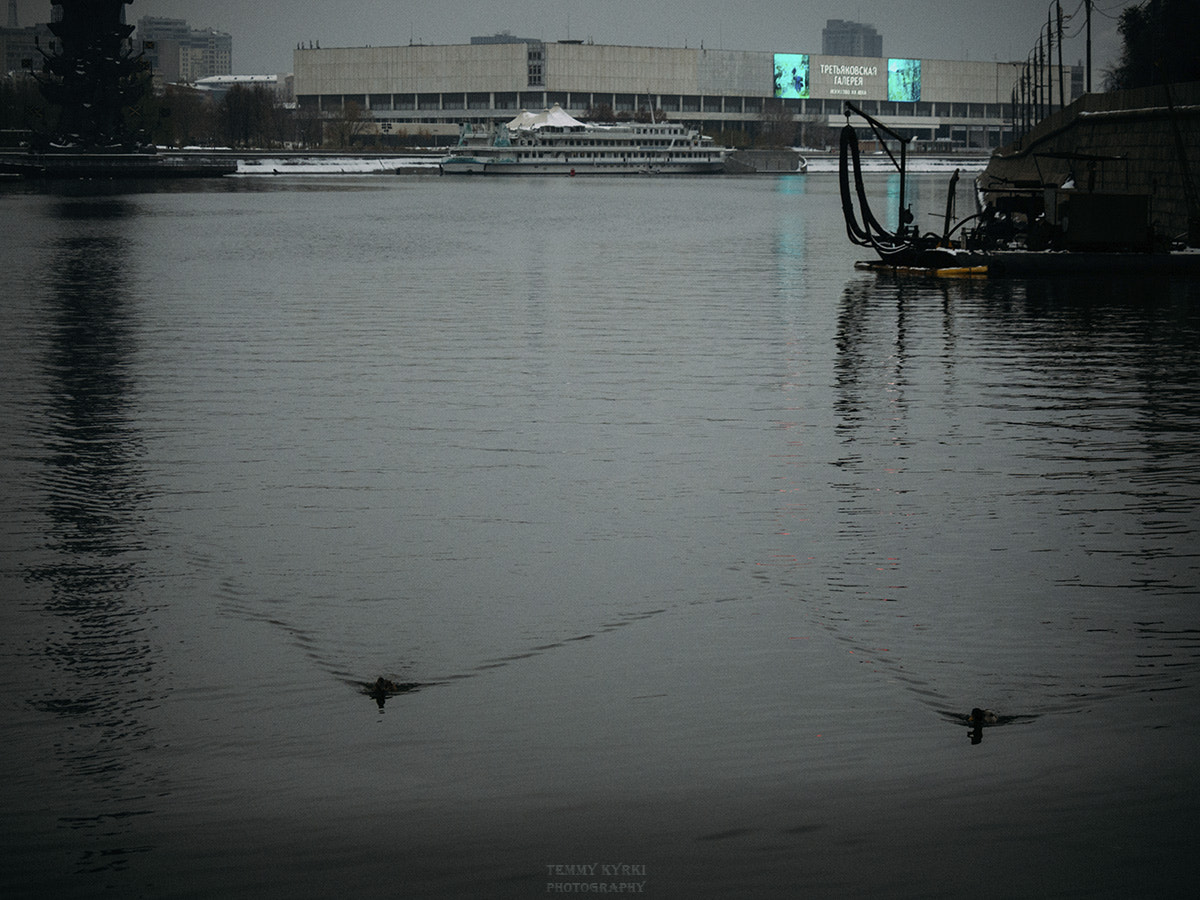 Olympus PEN E-PL5 sample photo. Ducks photography
